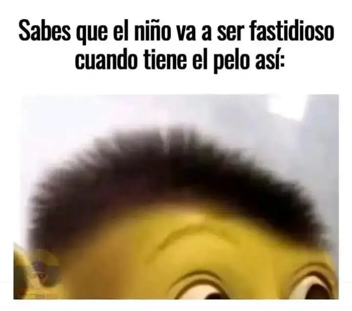 los niños de mi cuadra 