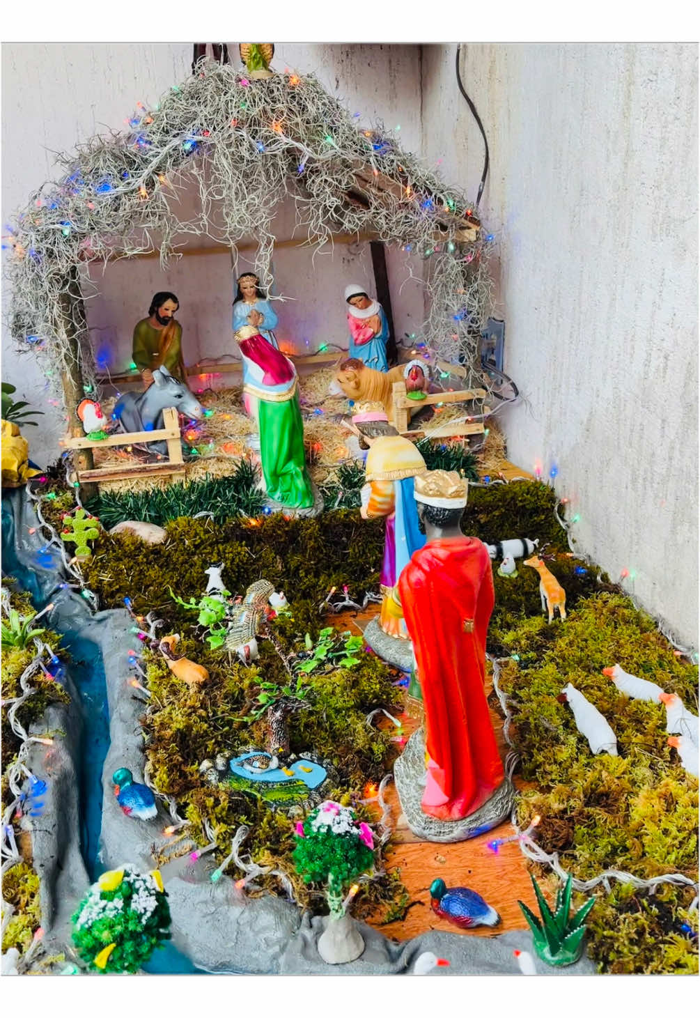 Nacimiento Navideño #CapCut #Navidad #Nacimiento #rio #belen #el #niñodios🎄❤️🎅🏻 