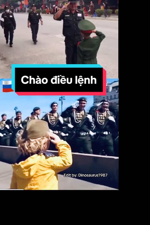 Măng non ở Việt Nam và Nga chào điều lệnh 🫡🇻🇳🇷🇺 #qpvn⭐ #qdndvn🇻🇳 #russianmilitary🇷🇺 #vietnammilitary #parade #kyniem80namthanhlapquandoinhandanvietnam #xuhuong #trending #katuysha 