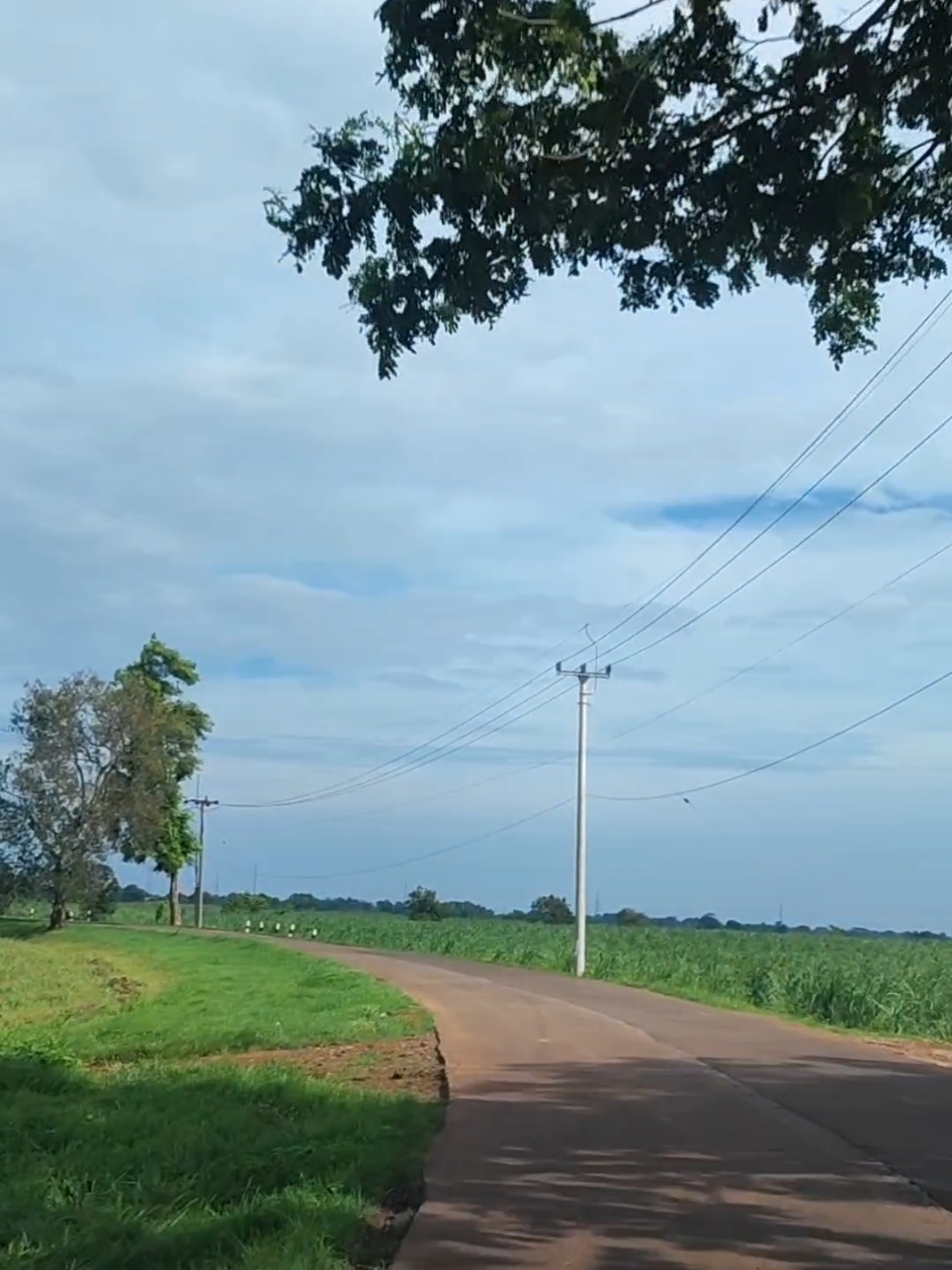 Selamat pagi dari Pasirbungur...