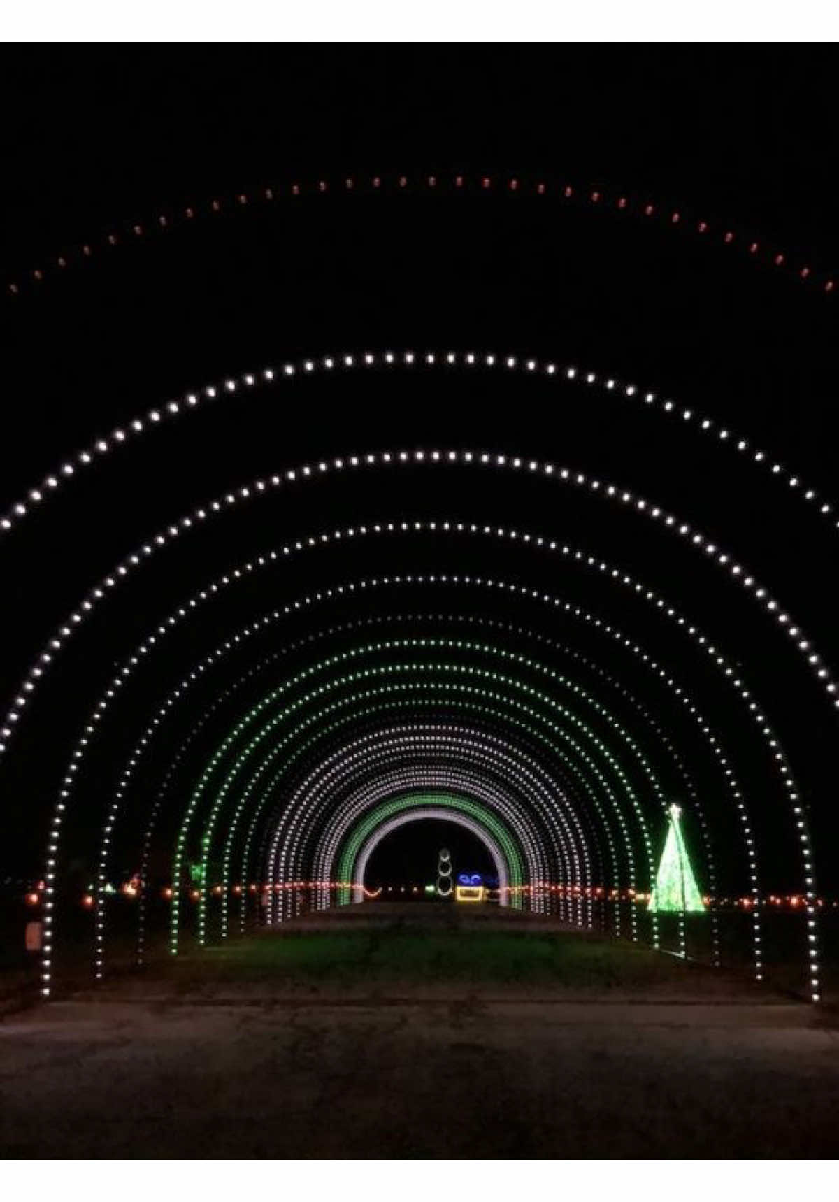 Santi enjoy the Christmas light show✨🎄❤️ #christmas #christmastiktok #lightshow #drivethru #navida #merrychristmas🎄 #creatorsearchinsights 