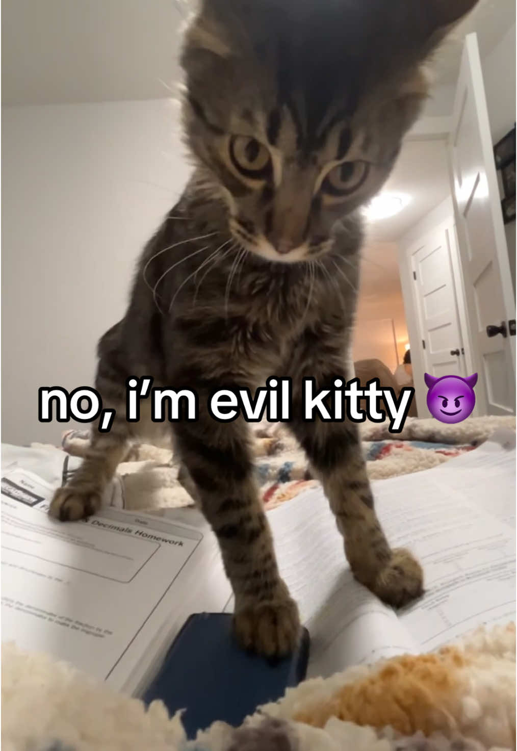 evil kitty 😼🔪#evilkitty #evilkittysound #catfromhell #thatsagoodkitty 