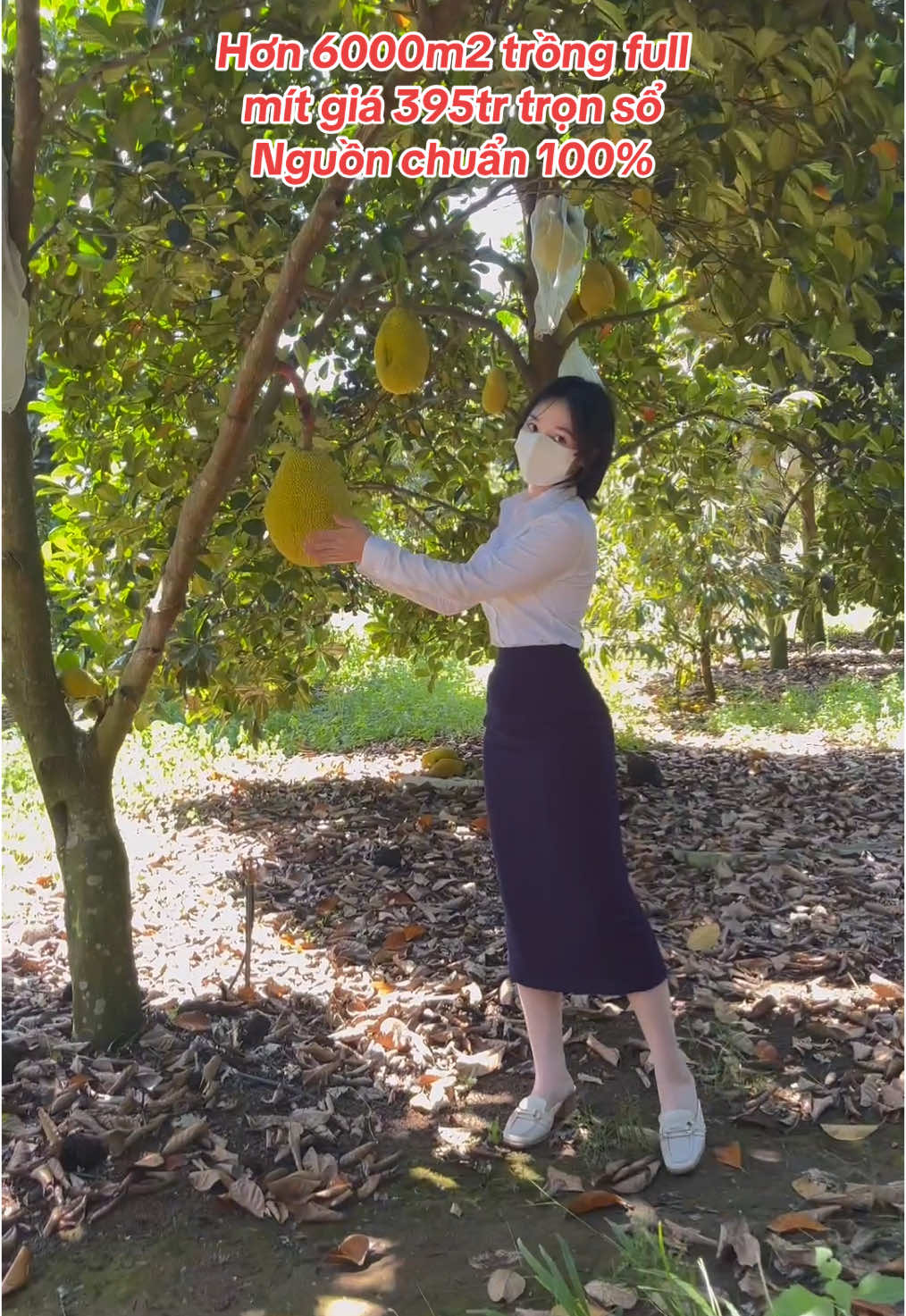 Lh em gấp nha @931///877///453 #xuhuong #bdsbinhphuoc #bdsnhavuon #bdsbinhduong #bdsgiare #vuónaurienggiare #vairalvideo #datvuon #vairal_video #thinhhanh #datxao 