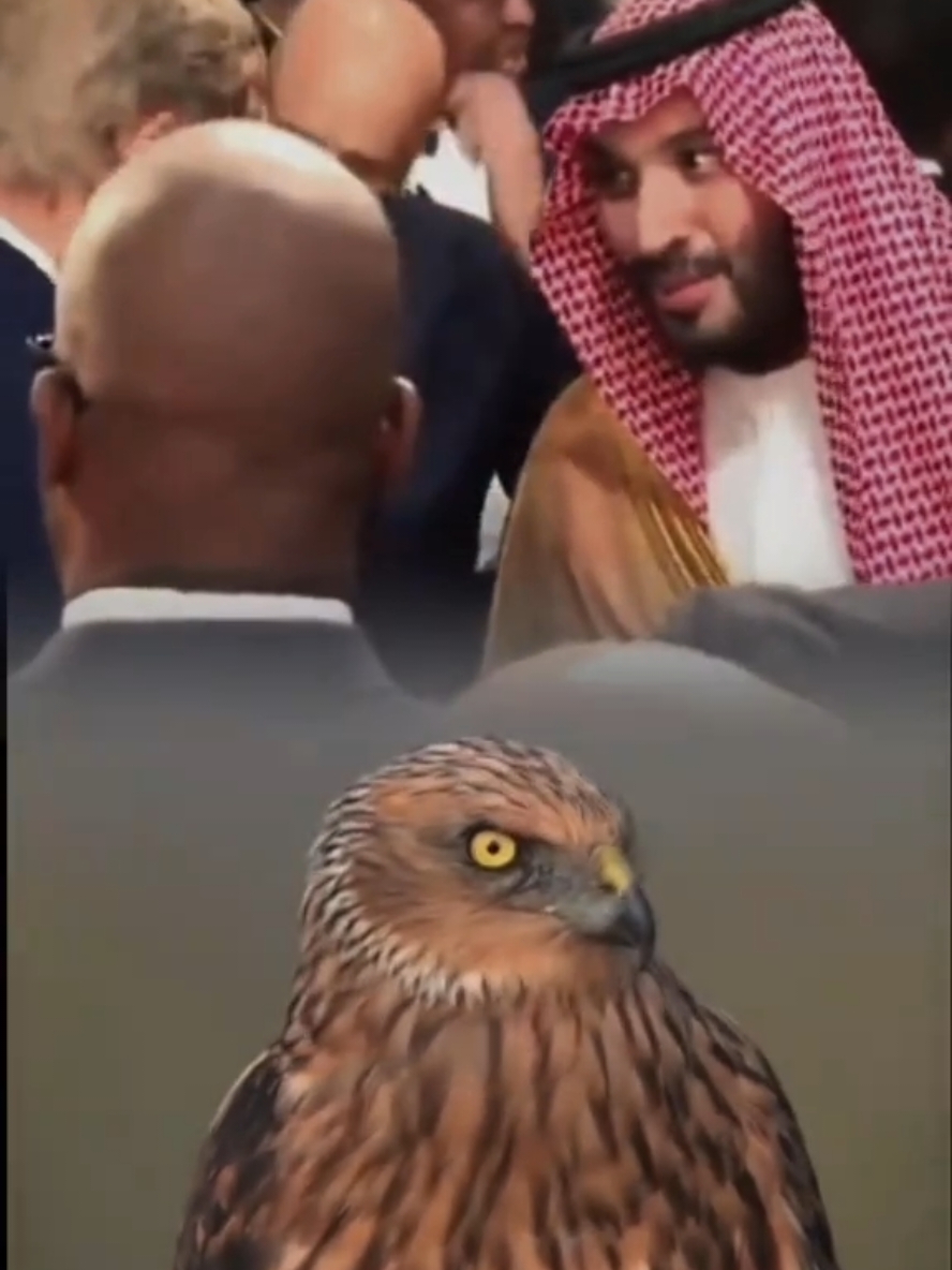 #CapCut #محمد_بن_سلمان  #السعودية 