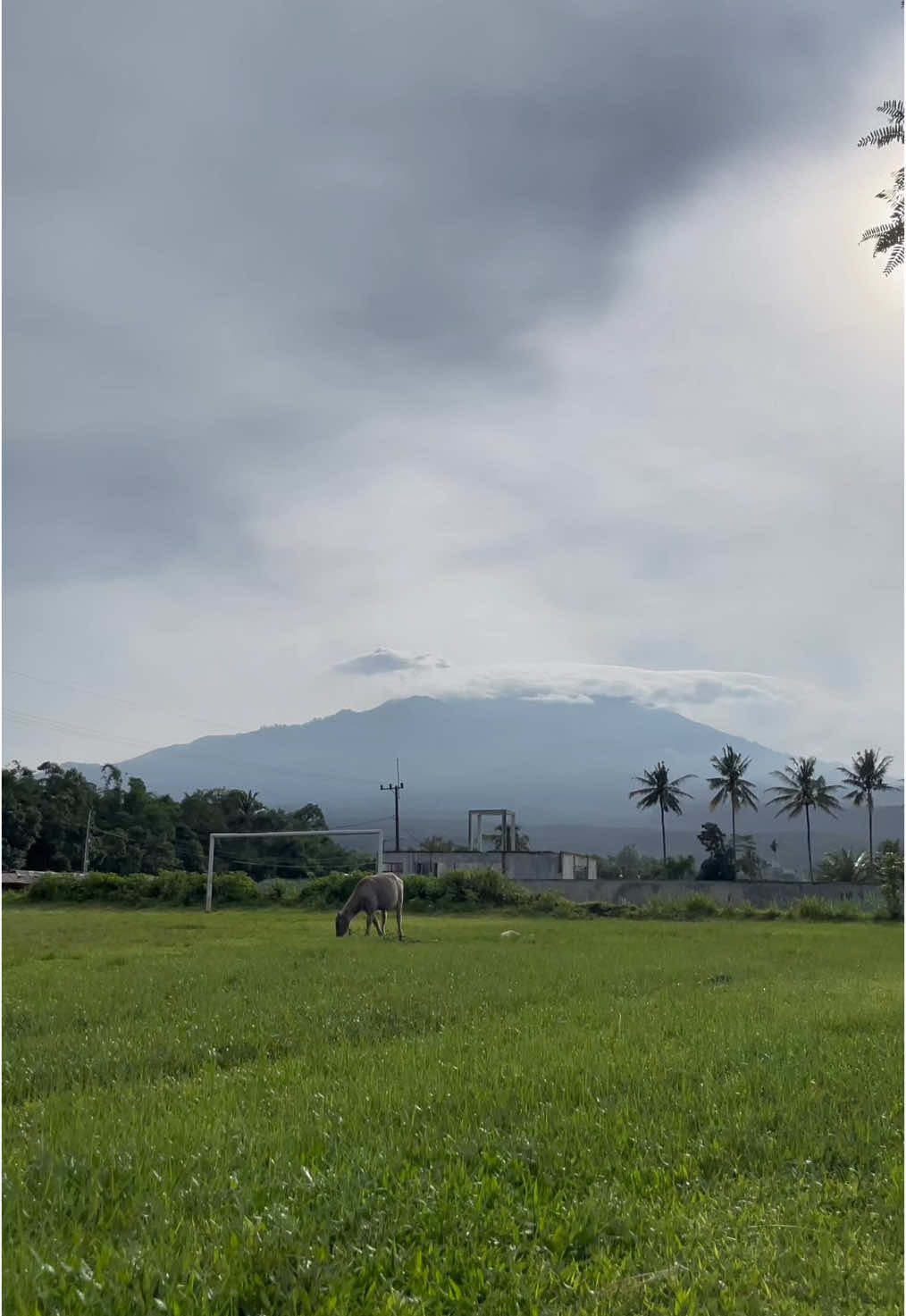 TEGALAN,SLATENG. HOLA 👋 #ledokombo #ledokombostory #slatengledokombo #ledokombojemberjatim #ledokombojember #fyp #foryou #foryoupage #nature #village #villagelife #xyzbca #jember #jembertiktok #jember24jam #pesonajember #explorejember #jemberasik #jemberhitz #jemberkueren #infojember 