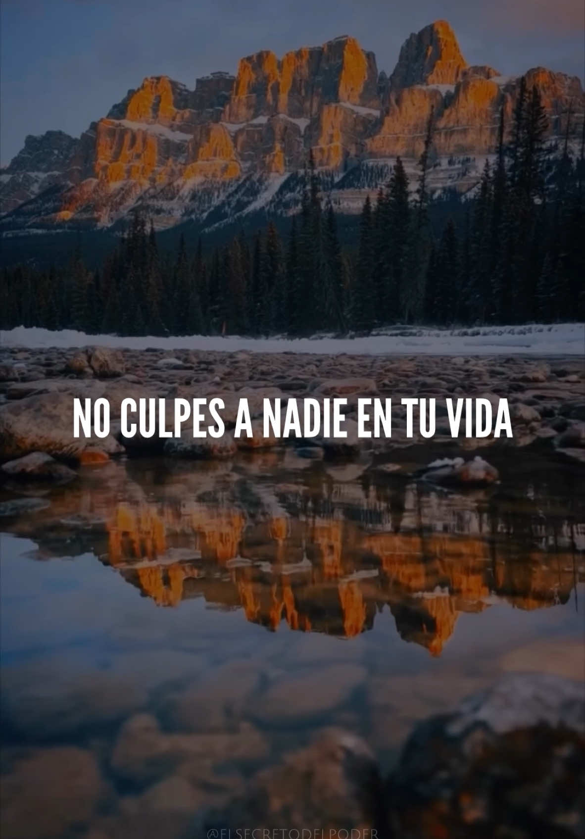 No culpes a nadie.✍🏻 - #momentos #progreso #diosconnosotros #mentalidad #sabiduria #inspiracion #motivacion #esperanza #actitudpositiva #reflexion 