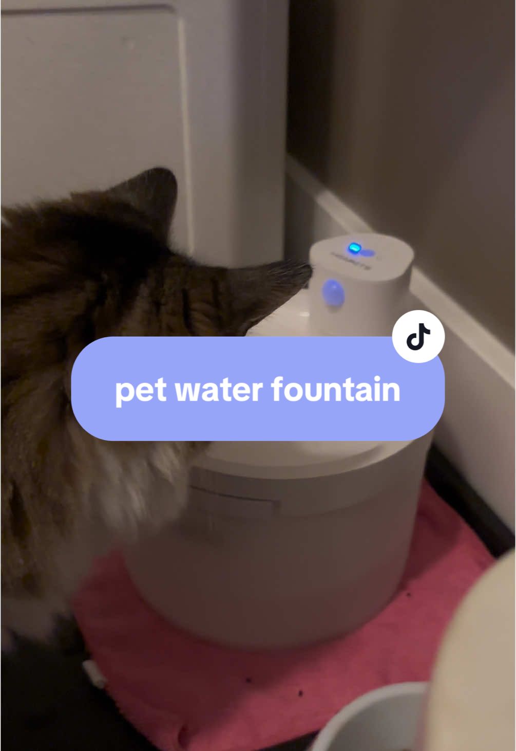 My cat will only drink running water and loves this fountain!                                             @Heapets Official  #catwaterfountain #petwaterfountain #catsoftiktok #tiktokshopholidayhaul #tiktokshopfinds #tiktokshopdeals #tiktokshoppets #tiktokshopflashsale #flashsale #christmasgiftideas #fyp 