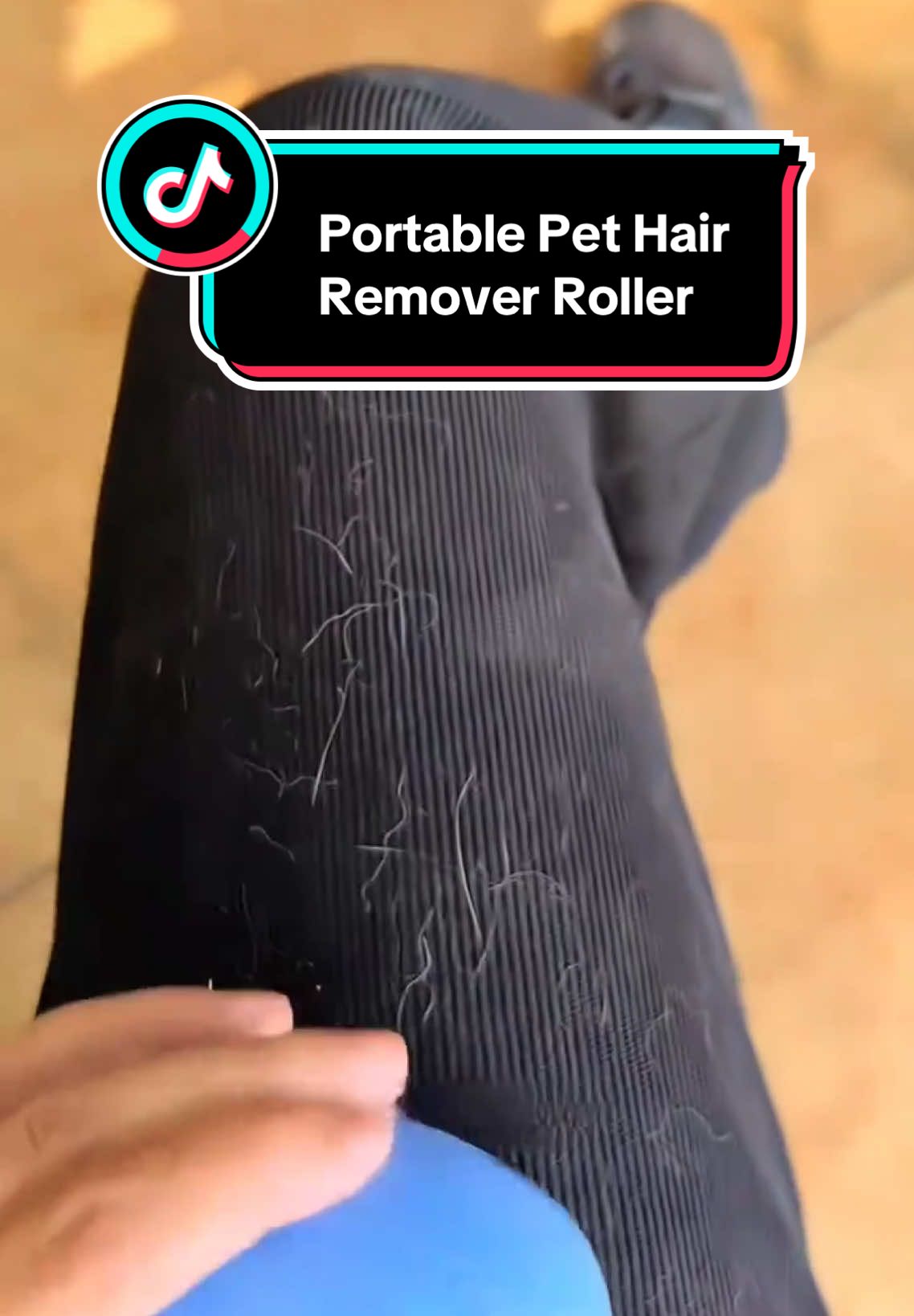Portable Pet Hair Remover Roller #fyp #foryou #cleaning #messhair 