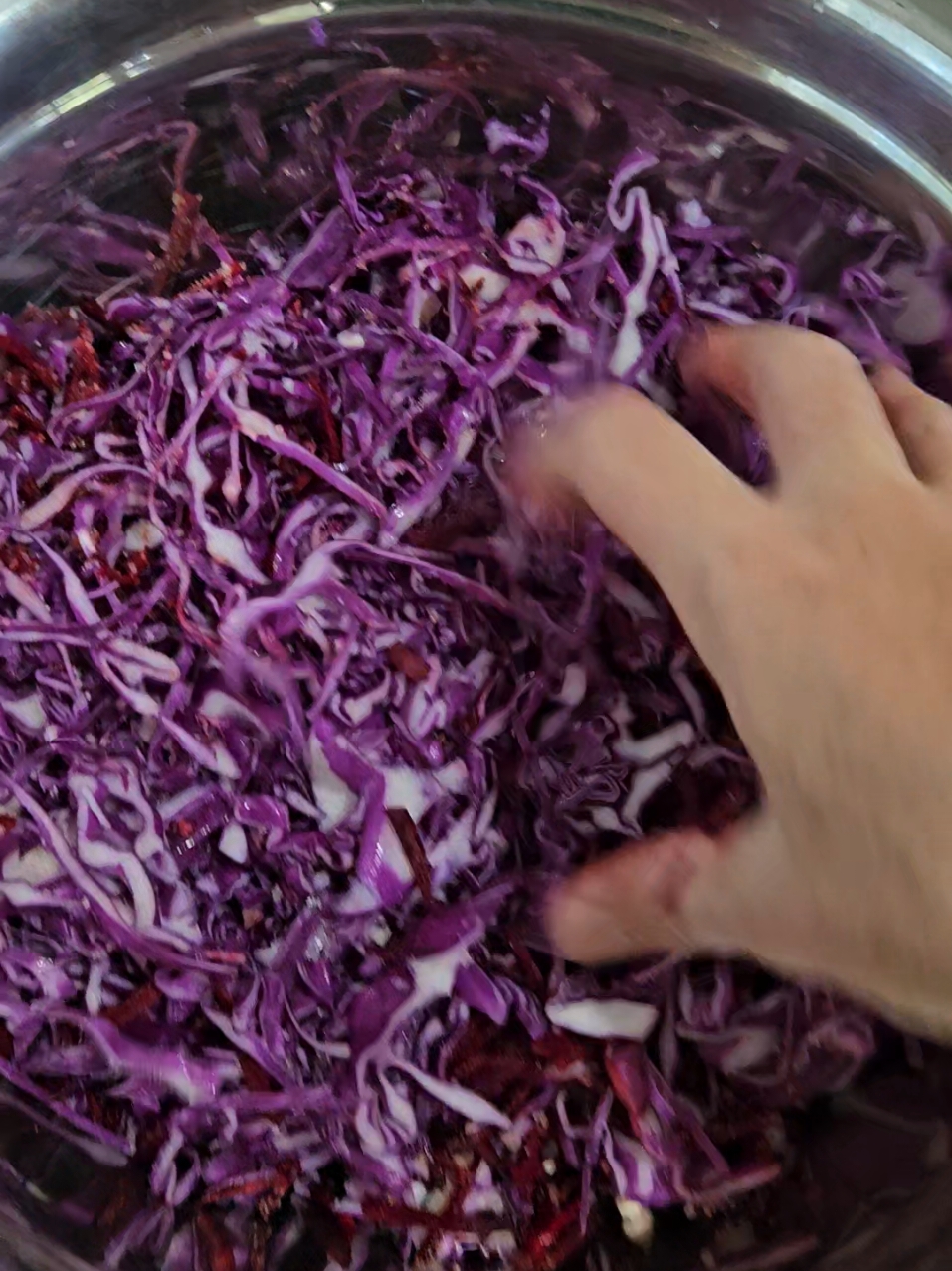 Making Sauerkraut at home is super simple! Learn how to ferment your own for gut health and amazing flavour🌿  #homemadesauerkraut #cooking #cookingathometiktoktv #hinterlandmama #viralvideo #fyp #fypシ #food #gardentok #fermented #sauerkrautrecipe #guthealth #explore #fermentedcabbage 