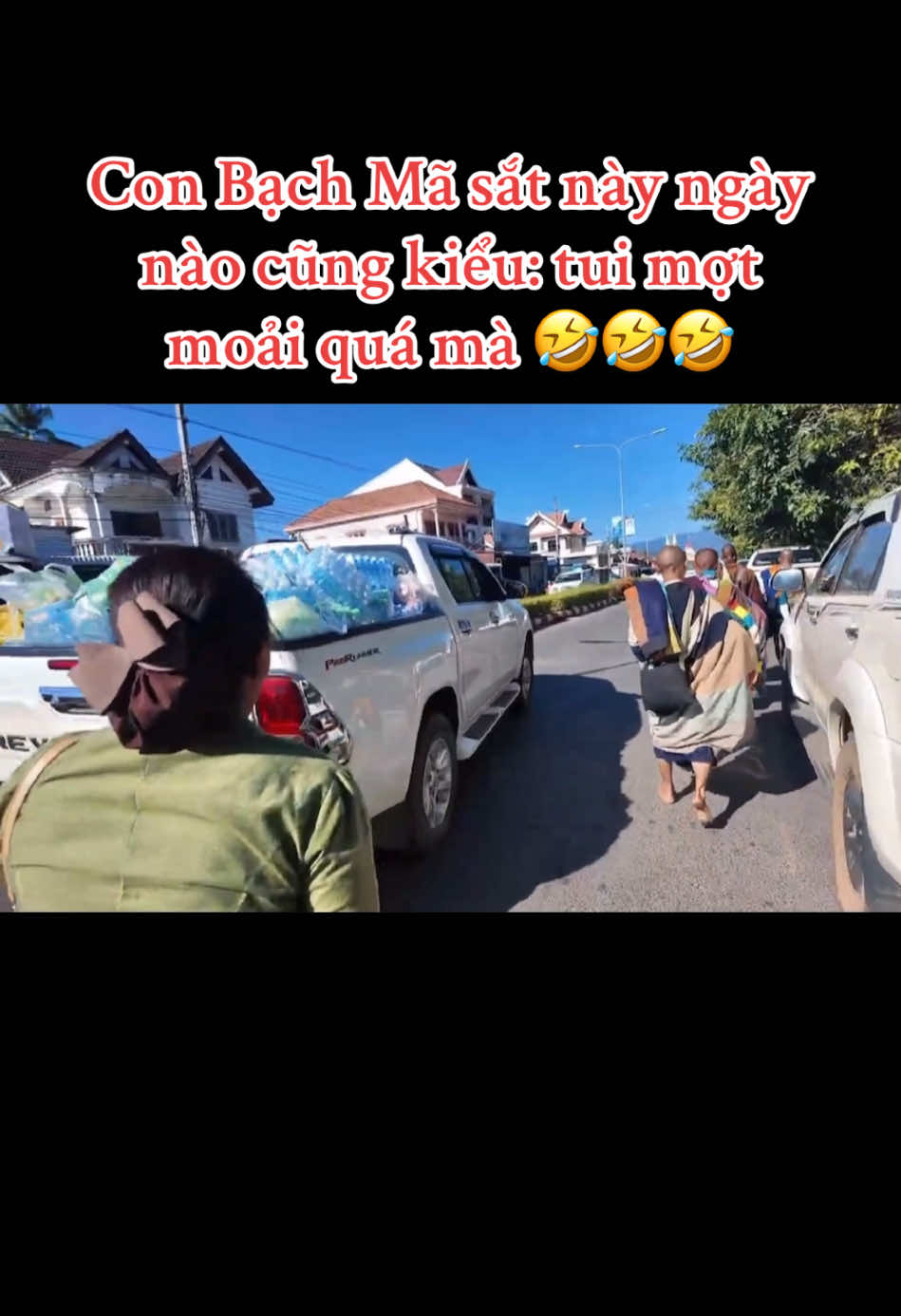 Con Bạch Mã sắt kiểu:😇🤣