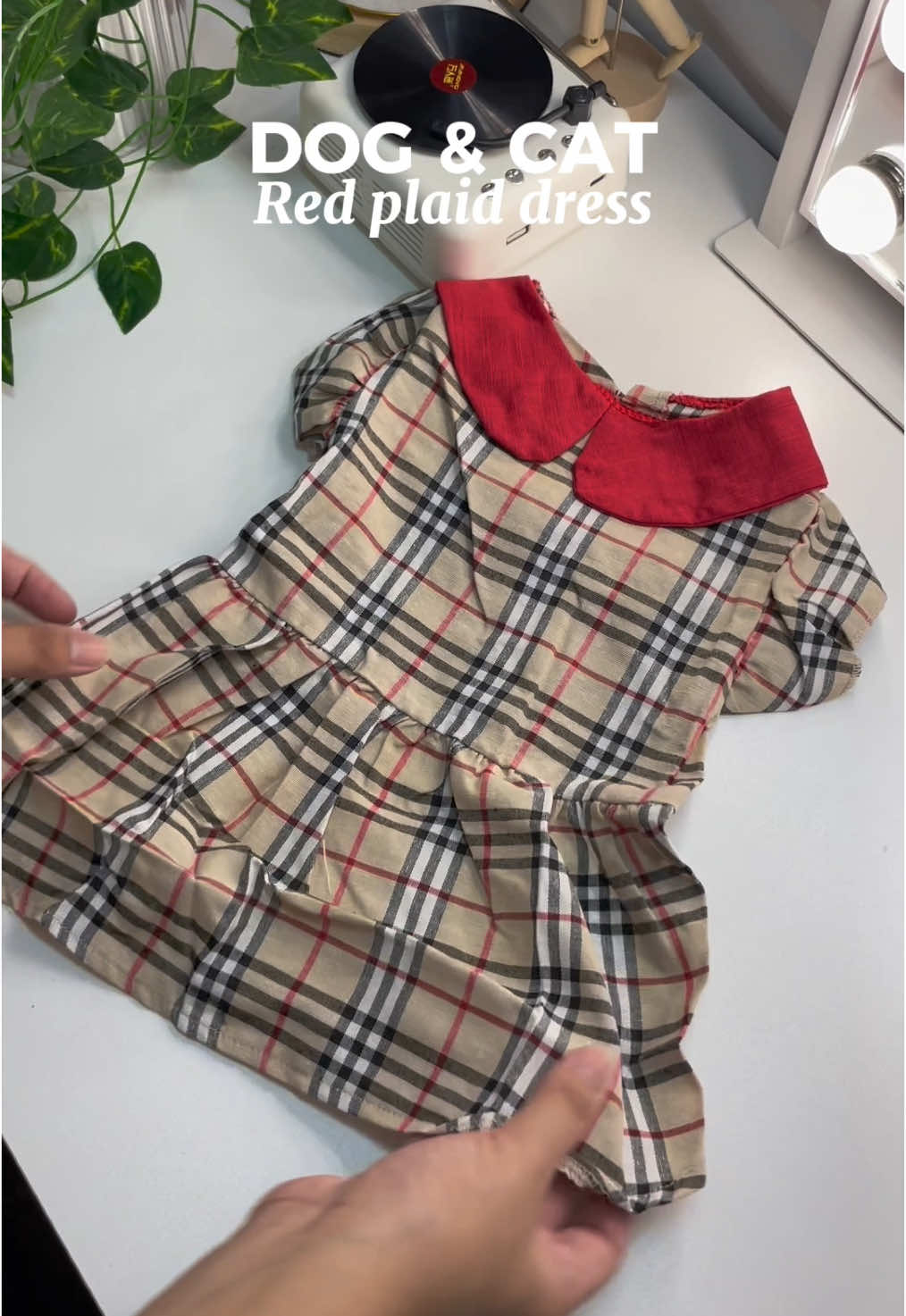 Dog & cat red plaited dress💃 #dogdress #catdress #dogclothes #dress #dressfordog #fyp #foryou 