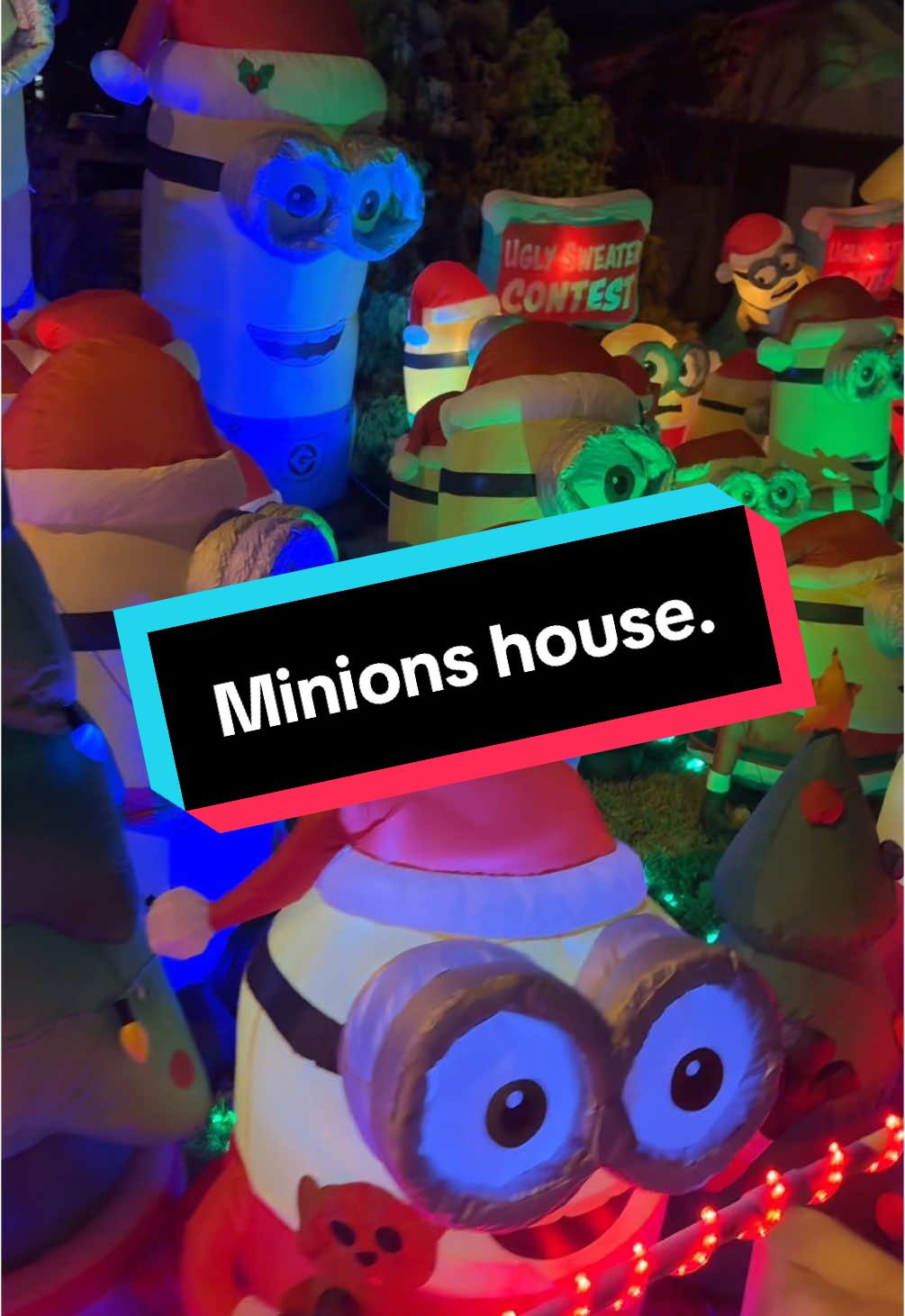 The minions house is famous during the Christmas season in southern IN. This house is wild every year. #minions #minion #universal #universalstudios #universalorlando #christmas #christmaslights