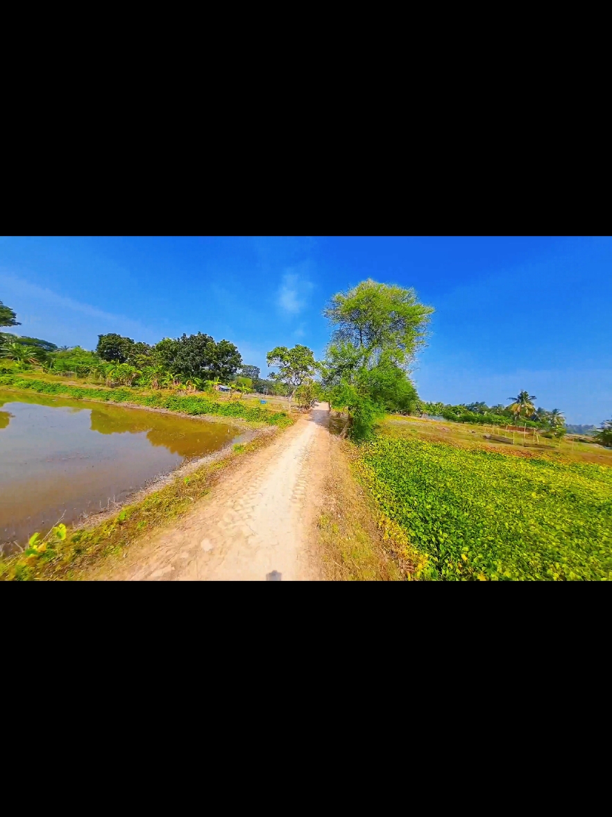 fpv drone 😎 #foryou #foryoupage #trending #unfrezzmyaccount #bdtiktokofficial #dronevideo #djifpv @TikTok @TikTok Bangladesh 