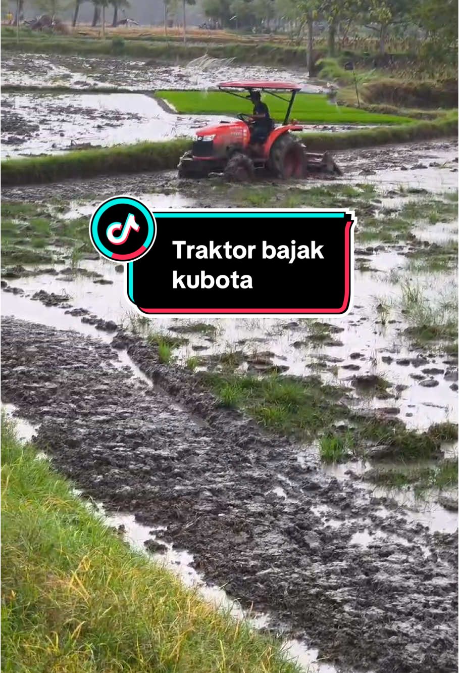 Traktor bajak lahan kering lahan bajah mau lahan sengketa🤭 #petanimuda #petanimodern #petanimilenial #kubota #pilaragrikubotasumbawa #mesinpertanianmodern #fyviral #fbyツ #fypシ゚viral 