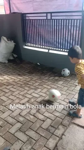 Bola plastik besar 12pcs cuma 37ribu aja  #bola#bolasepak#bolasepakplastik#bolamurah#bolaviral#bolawarnawarni#fypシ゚viral 