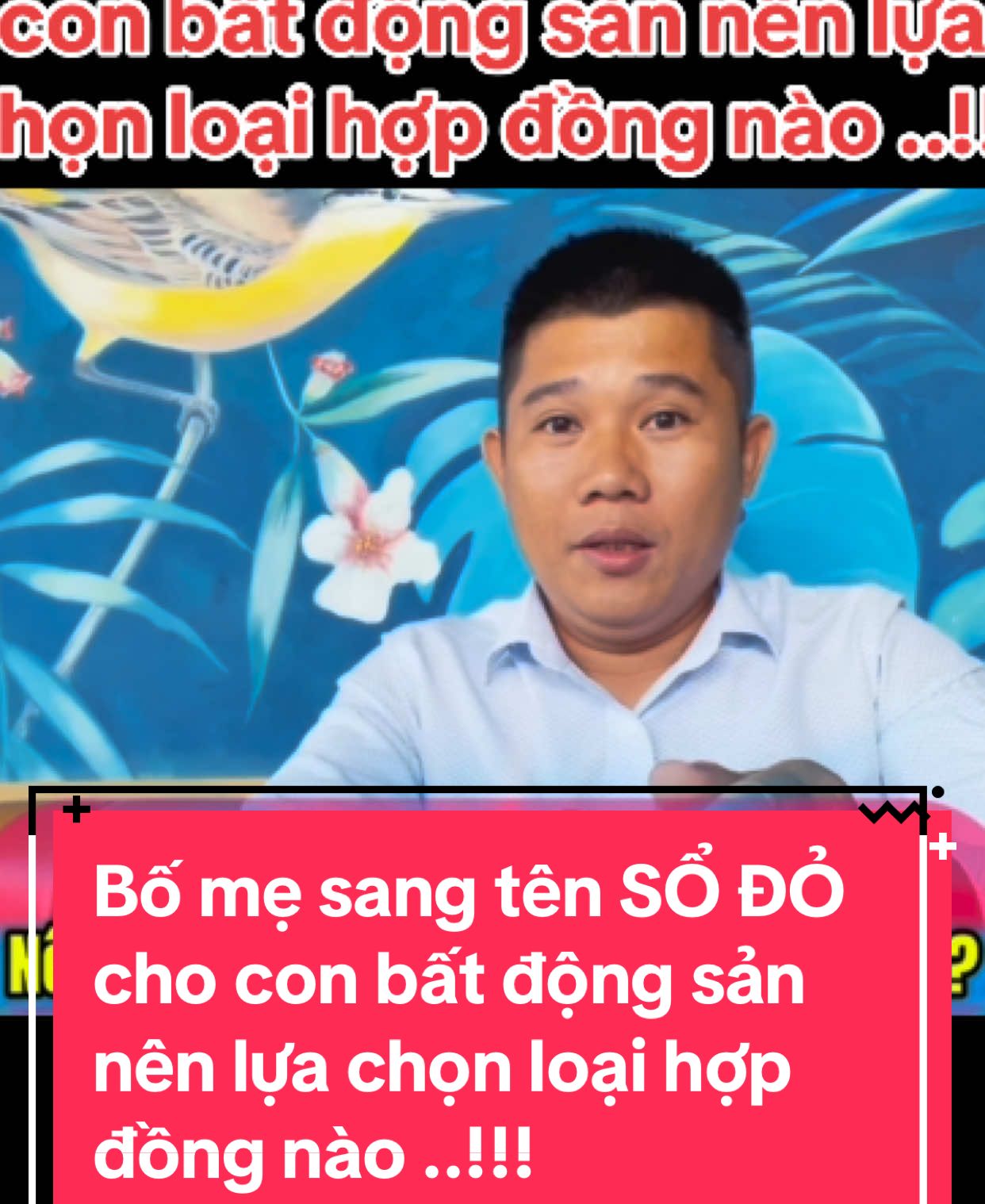 Bố mẹ sang tên SỔ ĐỎ cho con bất động sản nên lựa chọn loại hợp đồng nào ..!!! #sổđỏ #caotocchonthanh #caotochochiminhchonthanh #luatdatdai #batdongsan #datnenbecamex_chonthanh_binhphuoc #bdschonthanhbinhphuoc #bdschonthanhbinhphuocgiare #datnen #datnenchonthanh #datnenchonthanhbinhphuoc #đường_cao_tốc_việt_nam #batdongsanbinhphuoc #trongthobecamex  @BĐS CHƠN THÀNH BÌNH PHƯỚC ✅ 