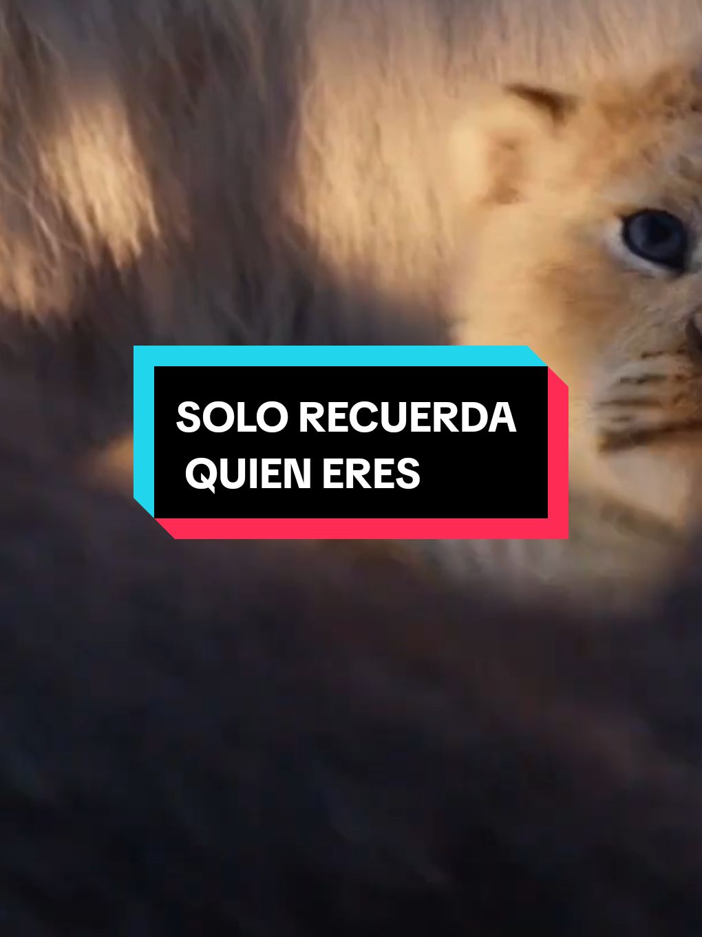 larga vida al rey mufasa el rey león  #lionking #king #elreyleon quien es mufasa?  quien es Taka ?   #mufasa #scar #nala #rafiki mufasa el rey león   #thelionking #taka #frasessad #lions  The lion king mufasa #movie #peliculasrecomendadas 