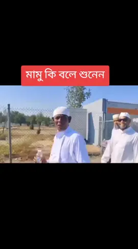 আনোয়ার মামু কি বলে 