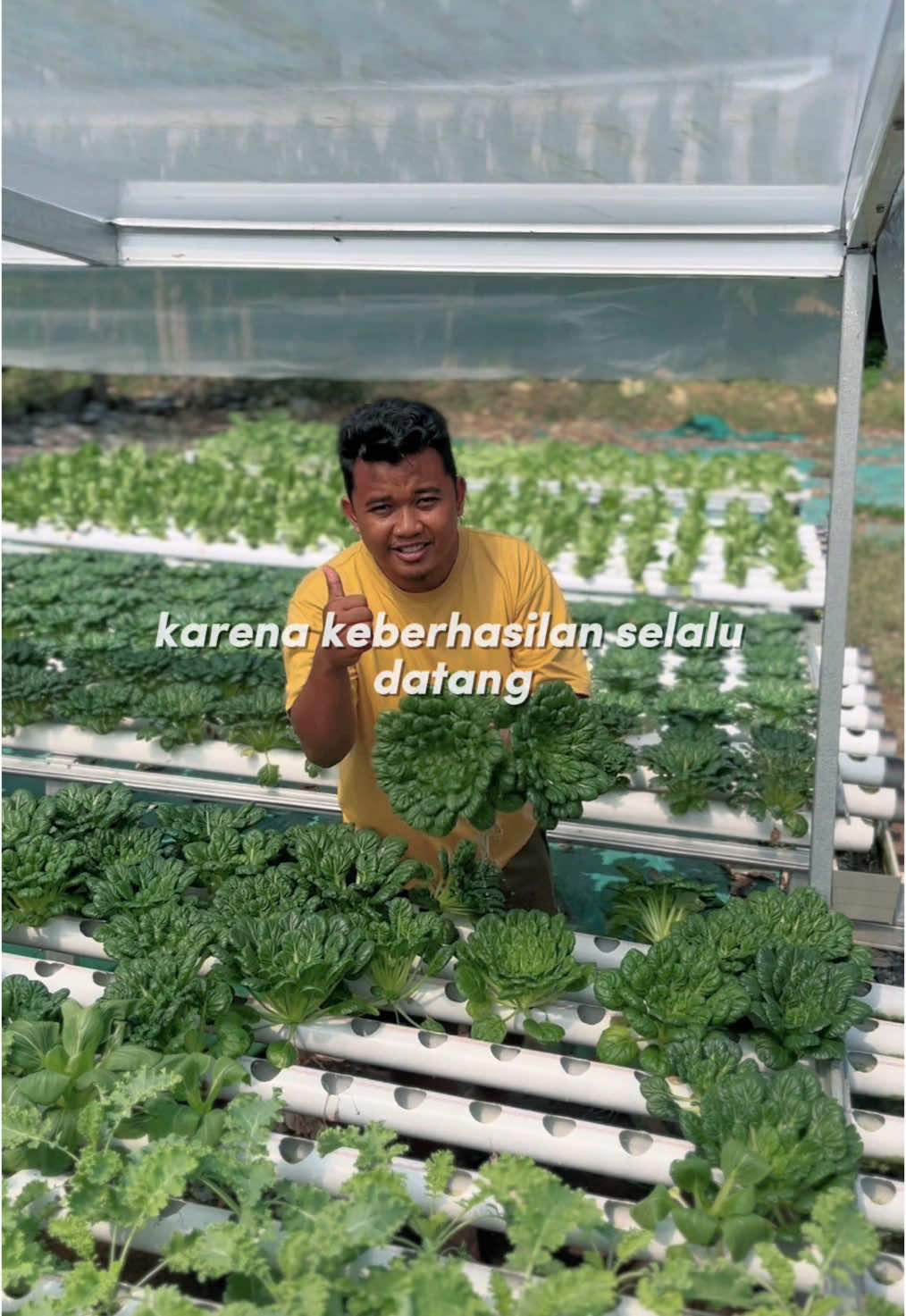 “Keberhasilan Selalu Datang Untuk Mereka yang Bertahan” Ready sayur sawi pagoda ya guys  #bertani #ayobertani #banggajadipetani #mudabertani #hidroponik #hidroponikkotasemarang 