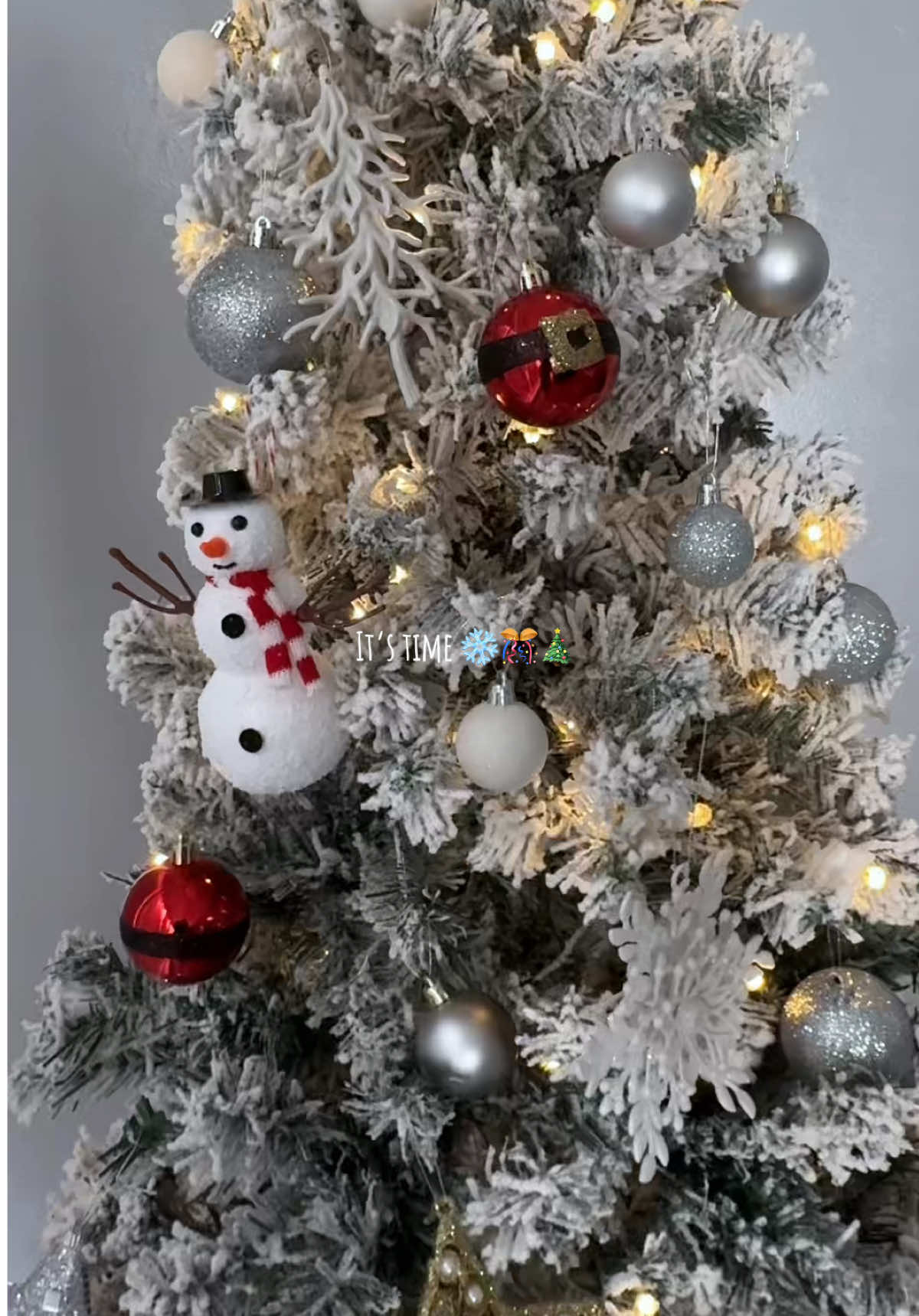 Compliment of the season  sweeties 🎄🎊..#christmastree #christmasdecor #viralvideo #trending #fyp 