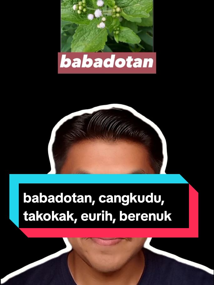 Barudak ayeuna apal berenuk teu nya? 🤣🤣 #brothersae  #belajarbahasainggris  #belajarbahasasunda  #belajarsunda #sundaan #orangsunda #orangsundaasli  #cikalongwetan  #kosakatabahasainggris  #pribahasasunda  #paribasasunda  #videoshort 