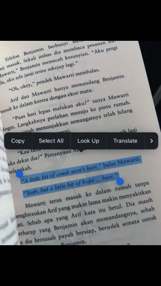 #BookTok #bookworm #bookrecommendations #crush #siapasangkaterjatuhcinta #violetfasha #fyp #foryoupage #masukberanda #4u 