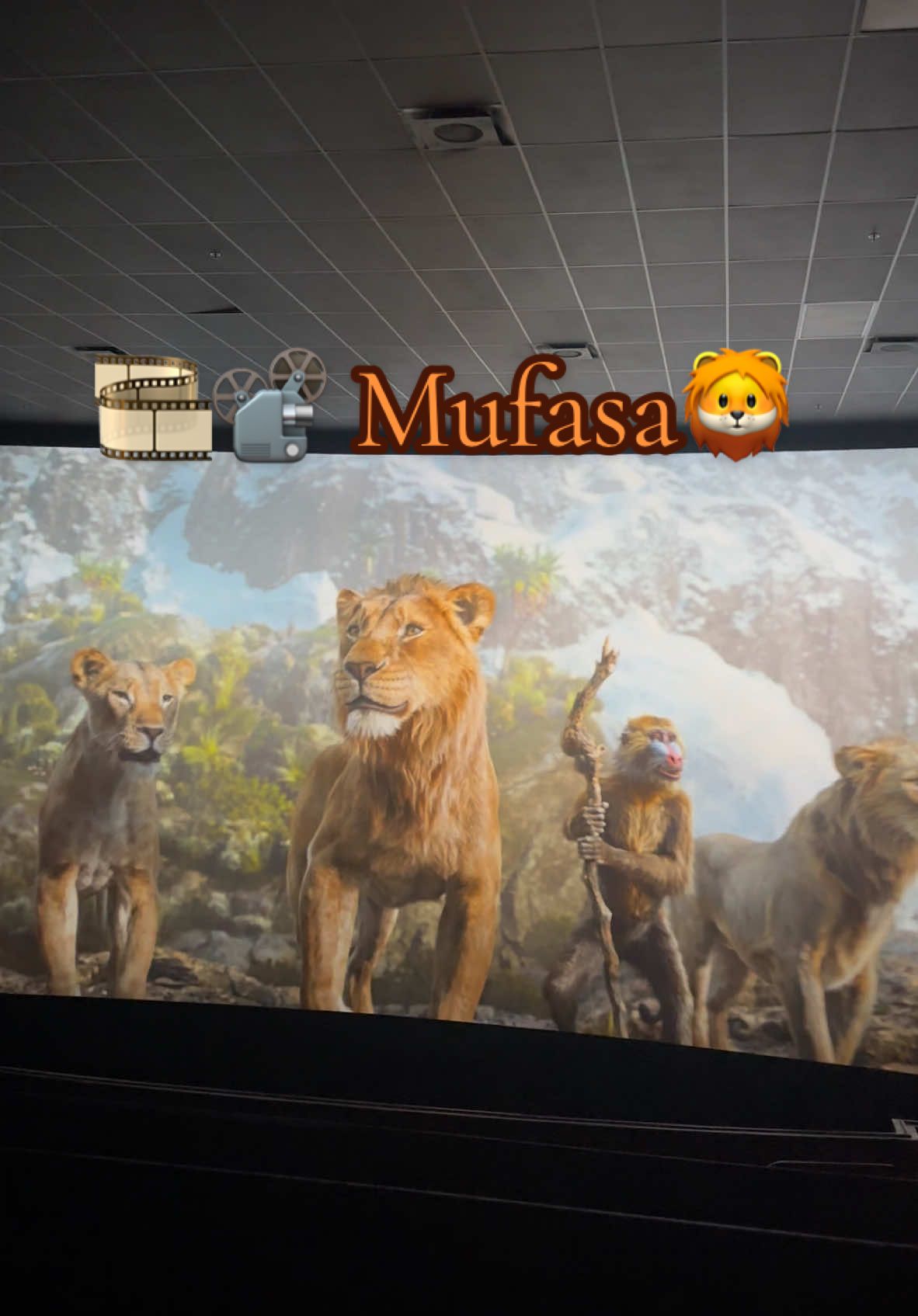 Mufasa 🎞️📽️🦁 1000% Recommend✨👏🏻 . . . . . #mufasa #lionking #cinemark #newmovie #release #popcornbucket #december2024