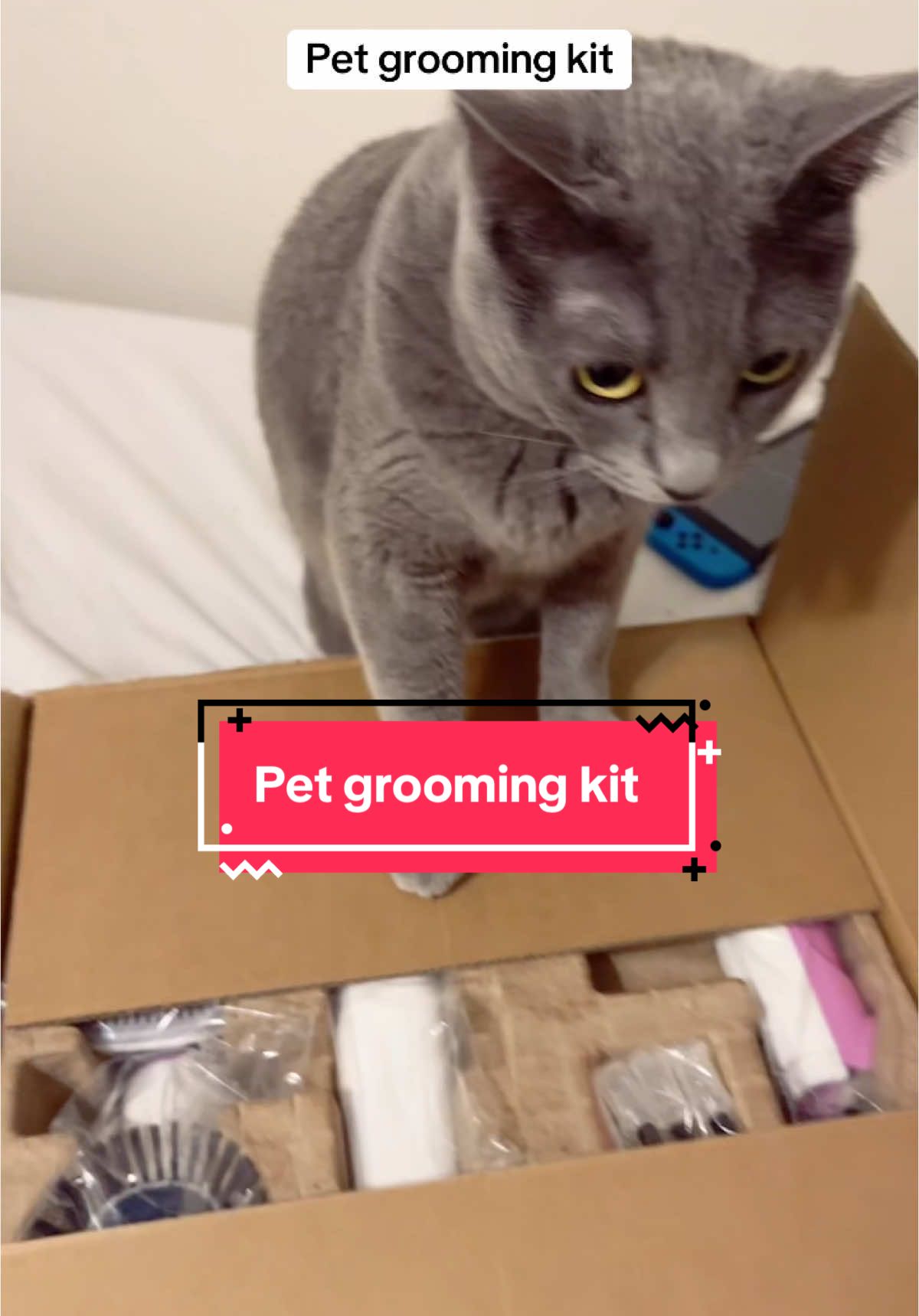 #creatorsearchinsights #petgroomingkit 