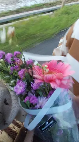 Lagi ngebayangin motoran bawa fresh flower yang dikasi kamu🫵 #fyppppppppppppppppppppppp #flowers #fyp #purworejo24jam #4u #foryoupage 