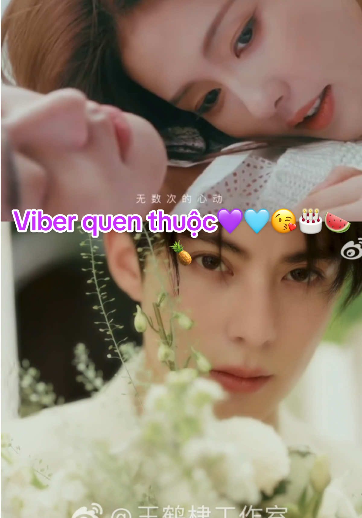 Viber quen thuộc💜🩵😘🎂🍉🍍 #bichhealthy #LearnOnTikTok #viral#xuhuongtiktok2024 #xuhuong #bailuwanghedi #bachlocvuonghacde #bailu #bailu白鹿 #Bailu #bachmongnghien #wanghedi王鹤棣 #dylanwang王鹤棣 