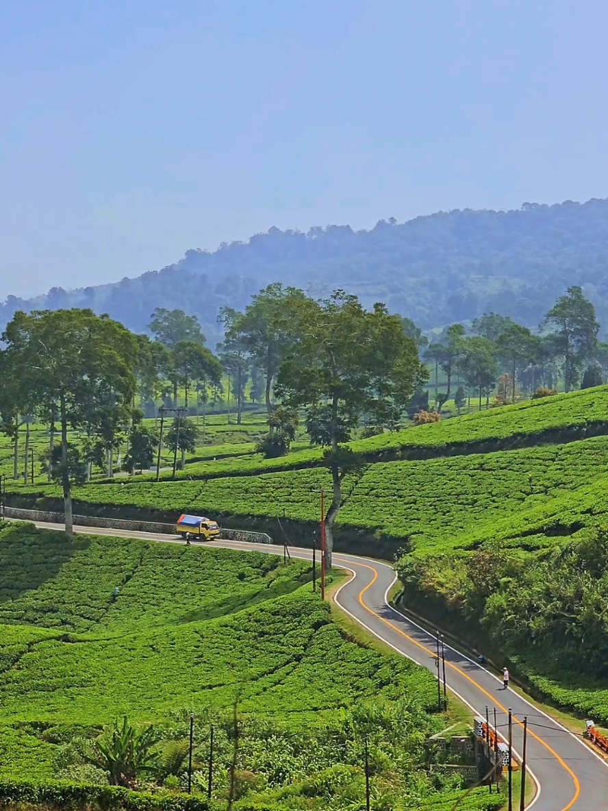 tempat healing di #ciwidey #wisatabandung 