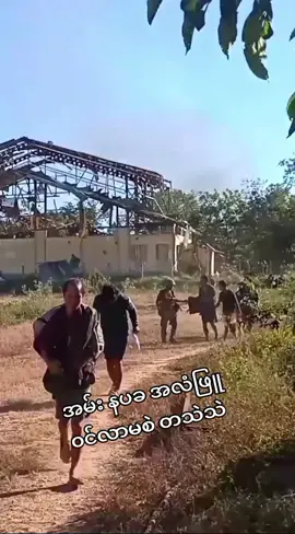 အမ်း ရက္ခိုင်ပြည်  အလံဖြူတွေ ၀င်လာမစဲ တသဲသဲ #အလံဖြူကိုစိုက်ထွက်ခဲ့ပါ🏳️🏳️  #ပြည်သူ့ရင်ခွင်ခိုလှုံပါ  #growyouraccount #fypシ゚viral #foryou #foryourpag #f #သာလီစြပါနန္႔🙏🙏🙏  @Copy1997 @ရောင်နီသစ် @ရောင်နီသစ် 
