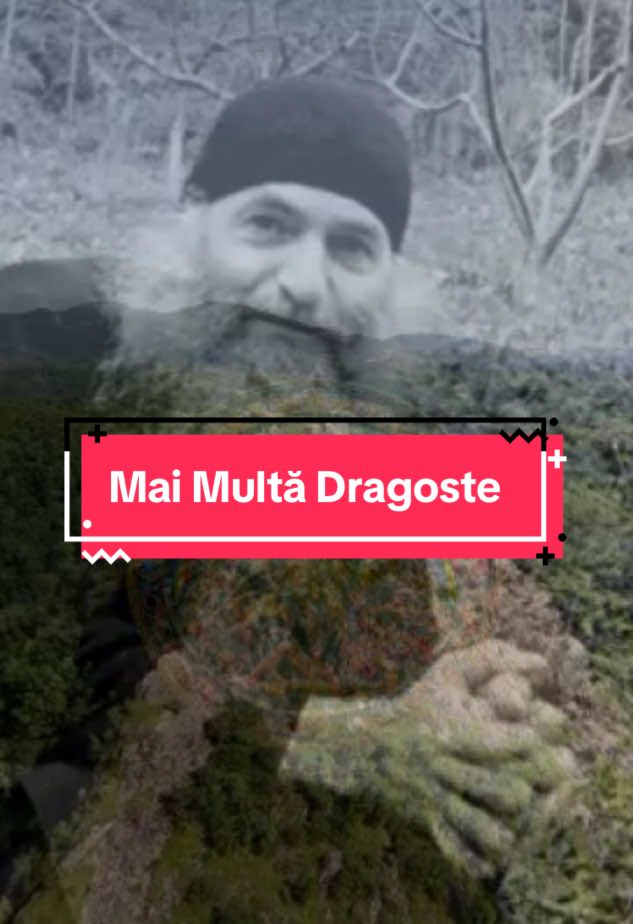 Mai Multă Dragoste #❤️ #✝️ #🙏 #dumnezeu #tuestibaza #pimenvlad #romania #crestin #ortodox #rugaciune #rabdare #smerenie #iubire #familie #unire #compasiune #dragoste #intelegere #pace #liniste #suflet #maicadomnului #doamneajuta 