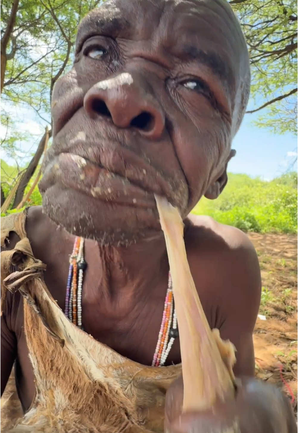 Hadzabe Old man enjoying his favorite meal for today’s Lunch 😋😮‼️#hadzabetribe #africastories #villagelife #FoodLover #usa🇺🇸 #foodtiktok 