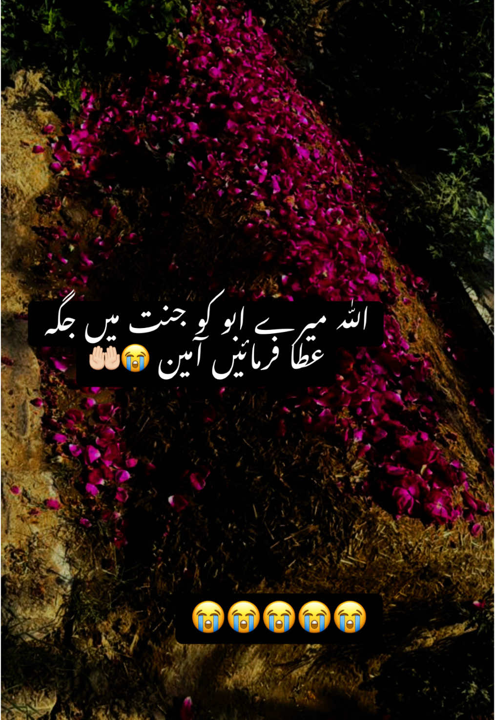 #ابوجی#miss_you_baba_jaan😭😭😭 #miss_you_baba_jaan😭😭😭 #miss_you_baba #miss_you_baba_jan💔💔😭😭😭😭 #miss_you_baba_jaan😭😭😭 #tiktok #foryou #foryoupage #tiktokviral #allah #tiktok #standwithkashmir #miss_you_baba #missyoubaby🥺❤🥀 @TikTok for Business @TikTok 