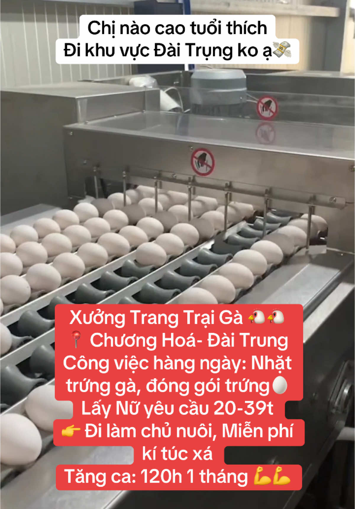 Đơn hàng nhặt trứng vip ạ #xuhuongtiktok #trungga #xklđailoan🇹🇼 #xklddailoan🇻🇳🇻🇳🇹🇼🇹🇼 #reviewtaiwan #xuhuongtiktok2024 #cuocsongdailoan🇻🇳🇹🇼 #xkldtaiwan🇹🇼 #xkldtaiwan🇹🇼 #Taiwan #taiwan 