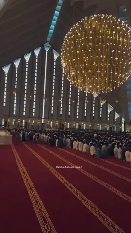 كالغيث ذكرك يا حبيبي لم يزل ♥️🌸 #اللهم_صلي_على_نبينا_محمد 