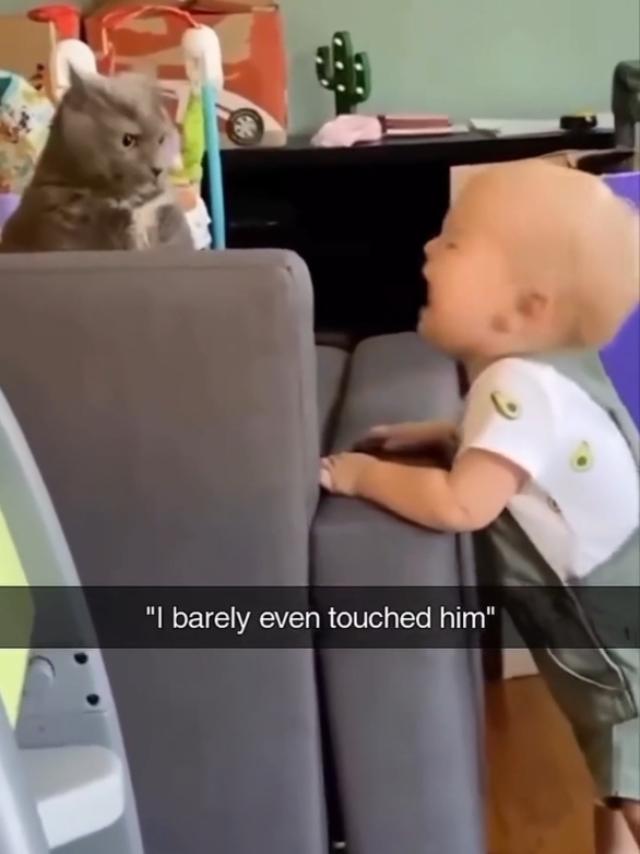 Part 48 | Cat and baby! Funny kitten videos #kitten #baby #funnyvideos😂 #funnycats #funnypets #funnyanimals #fyp #cutecat #catlover #catsoftiktok #cat 