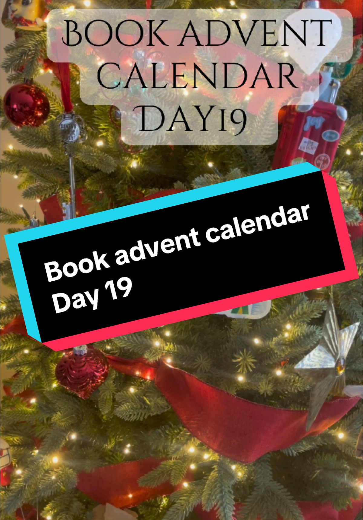 Book advent calendar day19.. will I complete another series?? #BookTok #booktokbooks #bookish #bookadventcalendar2024 #bookadventcalendar #booktokchristmas #newbook #booktokfyp 