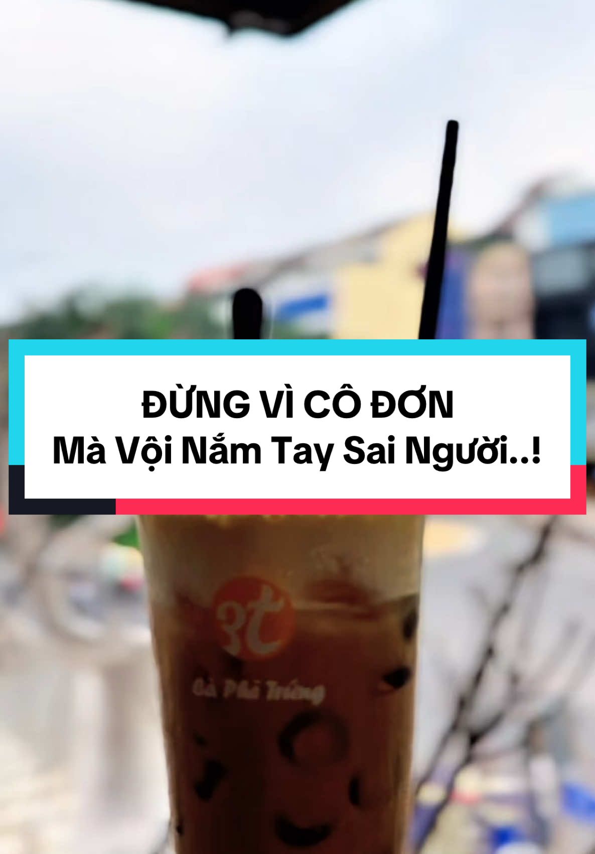 Thì ra CÔ ĐƠN cũng còn tốt chán🫡 #stttamsu #codon#lovestory #an_ho_and_friends 