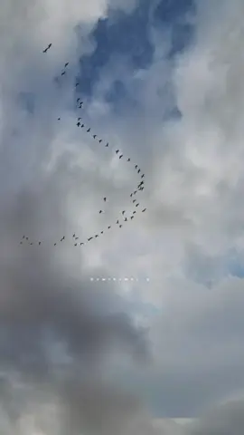 ‏اللهمّ  في يوم الجمعة  و بقدر اشتياقي لرُؤيته اجعلهُ ساكنًا مُطمئنًا في قبره، اللهمّ ارحم أبي قرة عيني اللهمّ إنّهُ في ودائِعك فاغفِر لهُ ياكريم وارحمه يارب العالمين . #يارب #🤲🏼 #💔🥀  #امين  #💔#اللهم_ارحم_فقيدي #اللهم_ارحم_ابني #وافي_عبدالرحمن  #اللهم_ارحم_موتانا  #اللهم_ارحم_موتانا_وموتى_المسلمين  #فقيدي_الراحل_الذي_يشبه_الجنة_في_عيني #رحمك_الله_يا_فقيد_قلبي😭💔  #صدقة_جارية_لوافي_عبدالرحمن #💔💔  #اللهم_صبراً_وجبرًاً_وقوة  #يارب #فقيدي #الخرج #الرياض #دعاء #يوم_الجمعة_اللهم_صل_على_نبينا_محمد  #الرياض_جده_مكه_الدمام_المدينه   #اكسبلورexplore #اكسبلور #explore #آكسبلور #تصميمي #تصويري 
