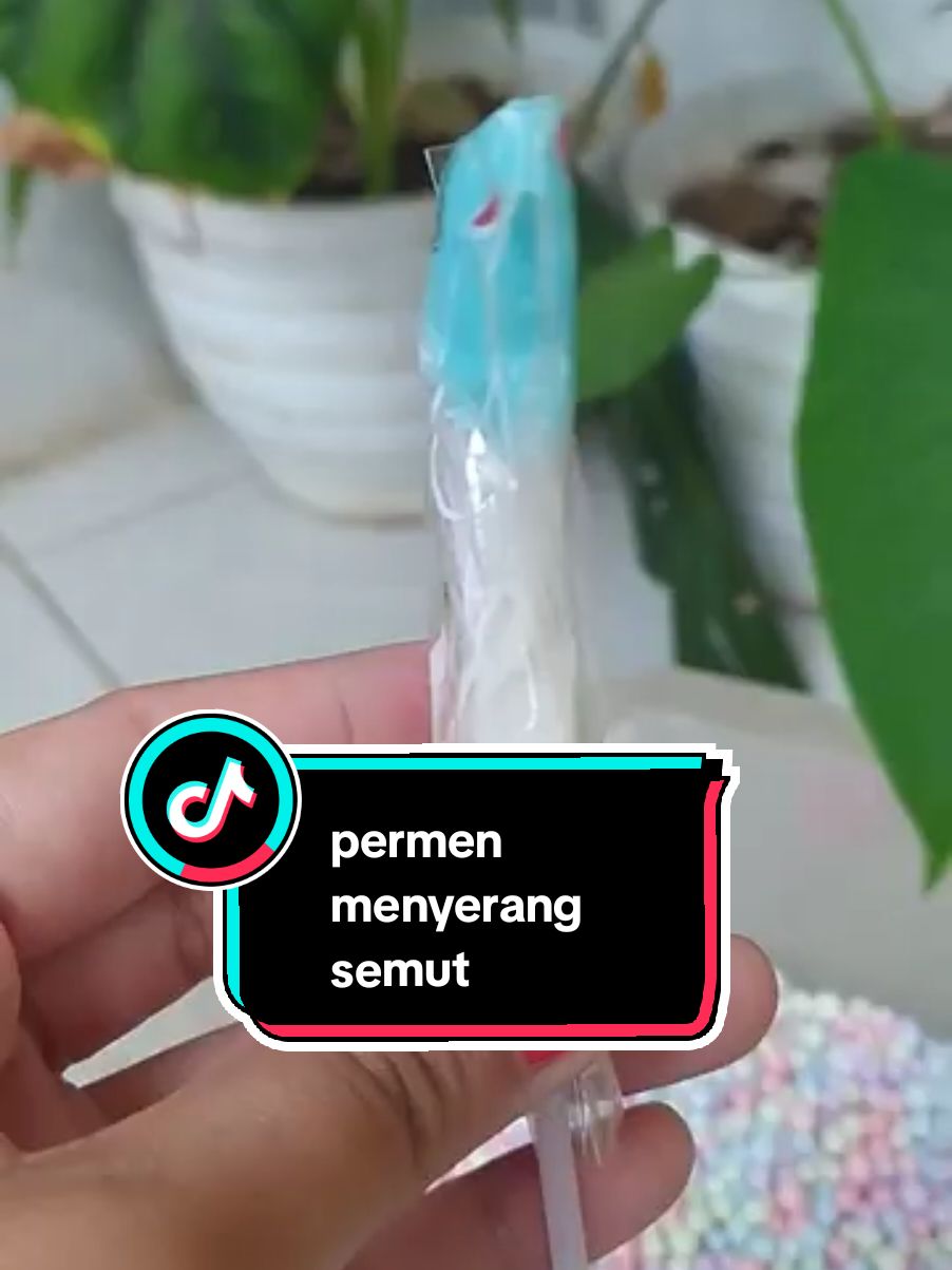 semut menyerang permen 