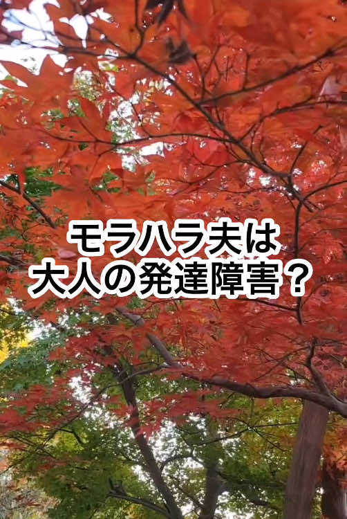 モラハラ夫の中には、大人の発達障害の特徴を持つ人が多いと言われている。 ⁡ ⁡ ⁡ アスペルガーやADHD傾向のある人に 見られる極端な行動が モラハラの形で家族を苦しめることがある。 ⁡ ⁡ ⁡ その中でも特に厄介なのが 「ケチ」という特徴このケチさは ⁡ ⁡ ⁡ 家族全体を支配し 自分だけが優遇されるような 不公平な生活を作り出す。 ⁡ ⁡ ⁡ 発達障害的なケチは 妻や子どもに対して 節約を強要する。 ⁡ ⁡ ⁡ 一方で自分は好きなように お金を使う。 ⁡ ⁡ ⁡ 例えば、家計のためと称して 妻に家事や育児を押し付け ⁡ ⁡ 買いたいものや必要なものを 我慢させる一方 ⁡ ⁡ ⁡ 自分は趣味や交際費に 大金を使うことも珍しくない。 ⁡ ⁡ ⁡ このような状況が日常化すると 妻や子どもは息苦しさを感じ 精神的にも経済的にも 追い詰められていく。 ⁡ ⁡ ⁡ さらに、養育費を出し渋るのも モラハラ夫の典型的な行動。 ⁡ ⁡ ⁡ 離婚後も子どもの将来のために 必要なお金をケチる態度を 見せることがある。 ⁡ ⁡ ⁡ これは単なる金銭的な問題に留まらず 子どもの権利を無視し 妻を経済的に困窮させる手段として 利用している。 ⁡ ⁡ ⁡ こうしたモラハラ夫に対抗するには 経済的自立が不可欠。 ⁡ ⁡ ⁡ 妻が自分の収入源を持ち 生活を成り立たせる力を持てば モラハラ夫の支配を 断ち切ることができる。 ⁡ ⁡ ⁡ 経済的に自立することで モラハラ夫の支配から解放され 自分自身の人生を 取り戻すことができる。 ⁡ ⁡ ⁡ また、子どもたちにとっても 安定した環境を提供するためには 母親の経済的な強さが大切。 ⁡ ⁡ ⁡ モラハラ夫のケチさと支配に 悩むすべての人に まずは経済的自立を目指してほしい。 ⁡ ⁡ ⁡ 自立することで金銭を武器にした支配から 抜け出し家族全員が幸せを取り戻せる 未来が開けてくるでしょう。 ⁡ 
 
 今の苦しみから
 逃れる為に
 行動するしかない。
 
 
 
 あなたの行動次第で
 未来は変わります。
 
 
 
 モラハラ夫よりも
 あなたにはもっと
 大きな力があります。
 
 
 
 ピンチをチャンスに変え
 モラハラからの脱出を
 目指しましょう。
 
 
 
 無駄な我慢はやめて
 少しでも前進すれば
 明るい未来が待っています。
 
 
 
 人を変えるのは難しい。
 けれど未来を変える事は出来る。
 
 
 
 子育てと仕事を両立させて
 経済的自立を目指しましょう。
 
 
 
 自分の力で経済的自立を果たせば
 自信がついて自分を取り戻せる✨
 
 
 
 あなたにはできるはずです👊
 
 
 
 それでも不安だったら
 私があなたの力になります💪
 
 

 ⁡ 【モラハラ脱出無料動画講座】 〜期間限定で公開中〜 ⁡ ⁡ ⁡ 公式LINE登録より無料動画講座で学べます✨ プロフィールのURLより登録へ → https://kli.jp/f/aTTu/ ⁡ ＊＊＊＊＊＊＊＊＊＊＊＊＊＊＊＊ ⁡ 【公式LINEはじめました】 ⁡ LINEのお友達には ⁡ ・モラハラに関すること ・離婚に関すること ・子育てのこと ・住まいのこと ・働き方に関すること ・もう一つの収入の柱 ⁡ などお伝えしていきます⭐️ ⁡ ⁡ 【公式LINE登録特典】 ⁡ 🎁モラハラ脱出無料動画講座 🎁ママの状況確認フローチャート 🎁住宅ローン借入可能一覧表 🎁期間限定モラハラ脱出無料セミナー120分 ⁡ プレゼントしています🌸 ⁡ ⁡ ⁡ 公式LINE登録より無料動画講座で学べます✨ プロフィールのURLより登録へ → https://kli.jp/f/aTTu/ ⁡ ⁡ #モラハラ夫 #大人の発達障害  #人生の無駄  #経済的自立  #精神的自立  #離婚準備 