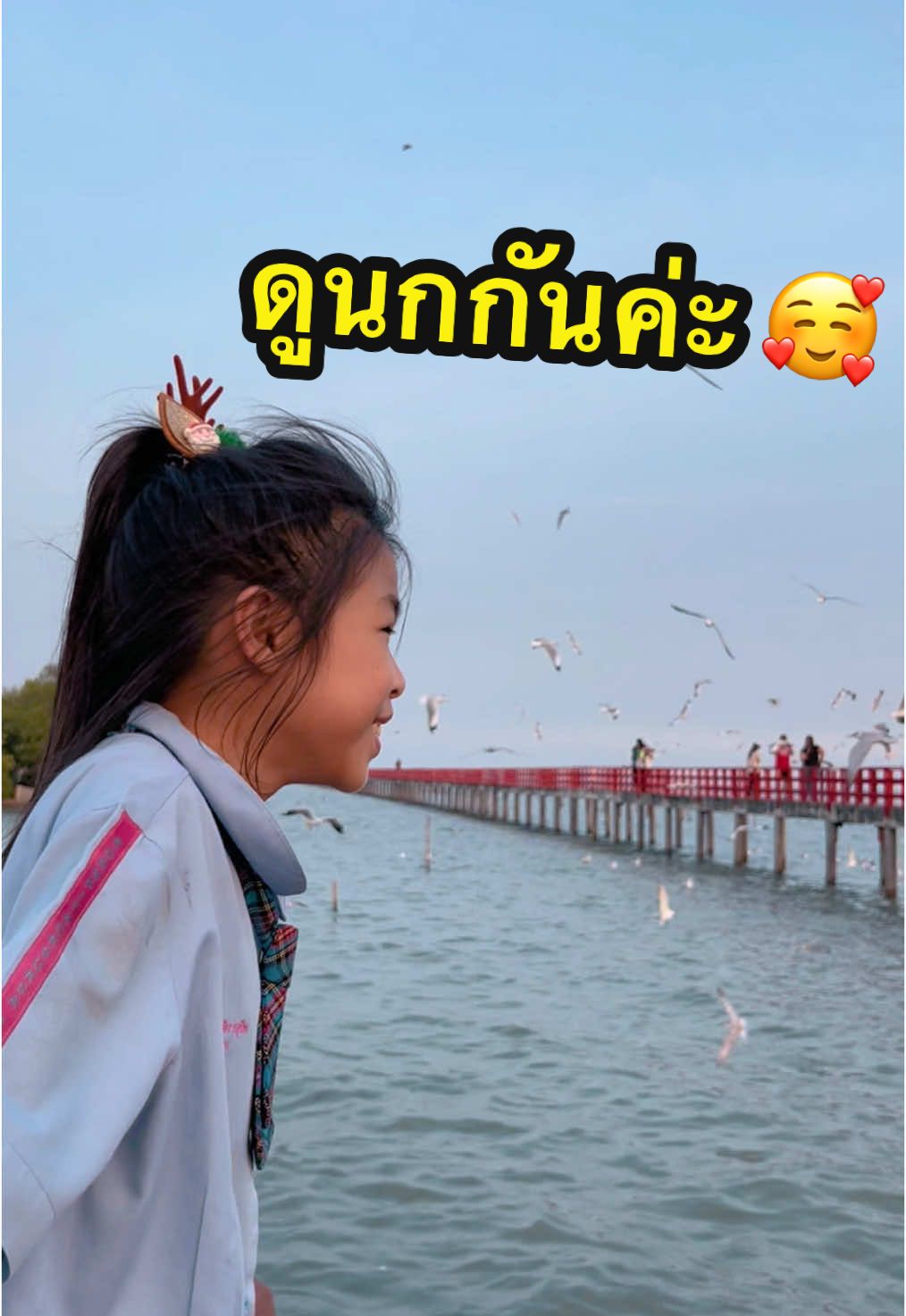 พาไปดูนกกันค้า สวยมากก!! 🥰🕊️