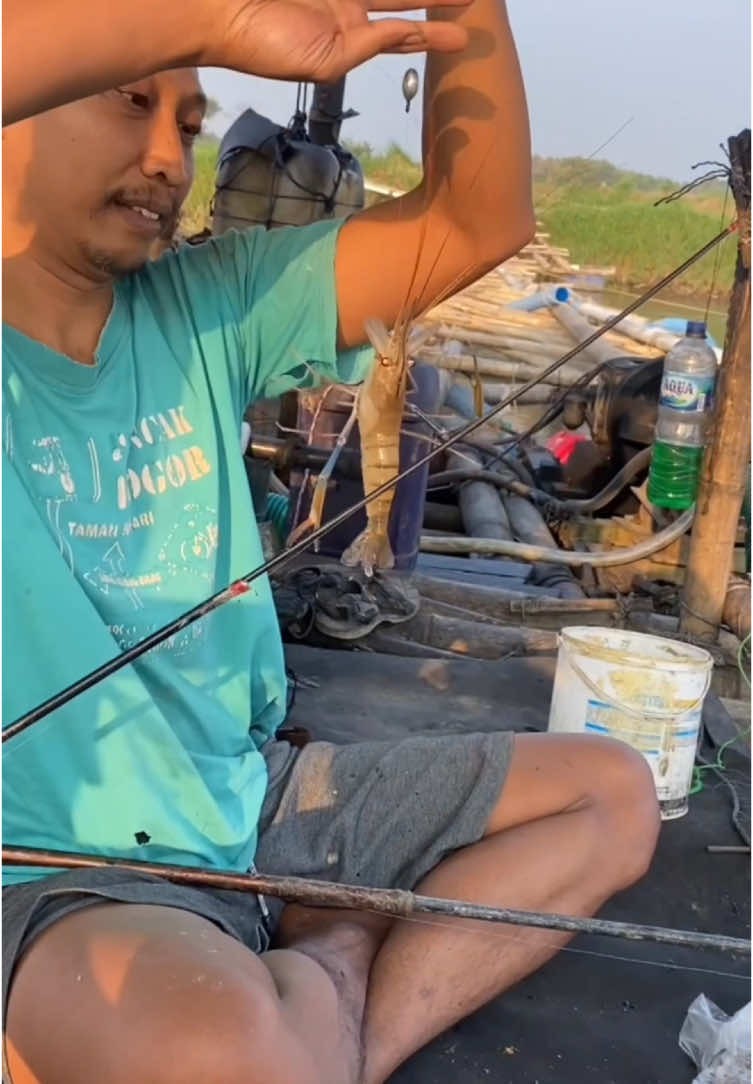 Mancing mania mantap dapet babon #mancing #mancingmania #udang #udanggalah #spotbagus 