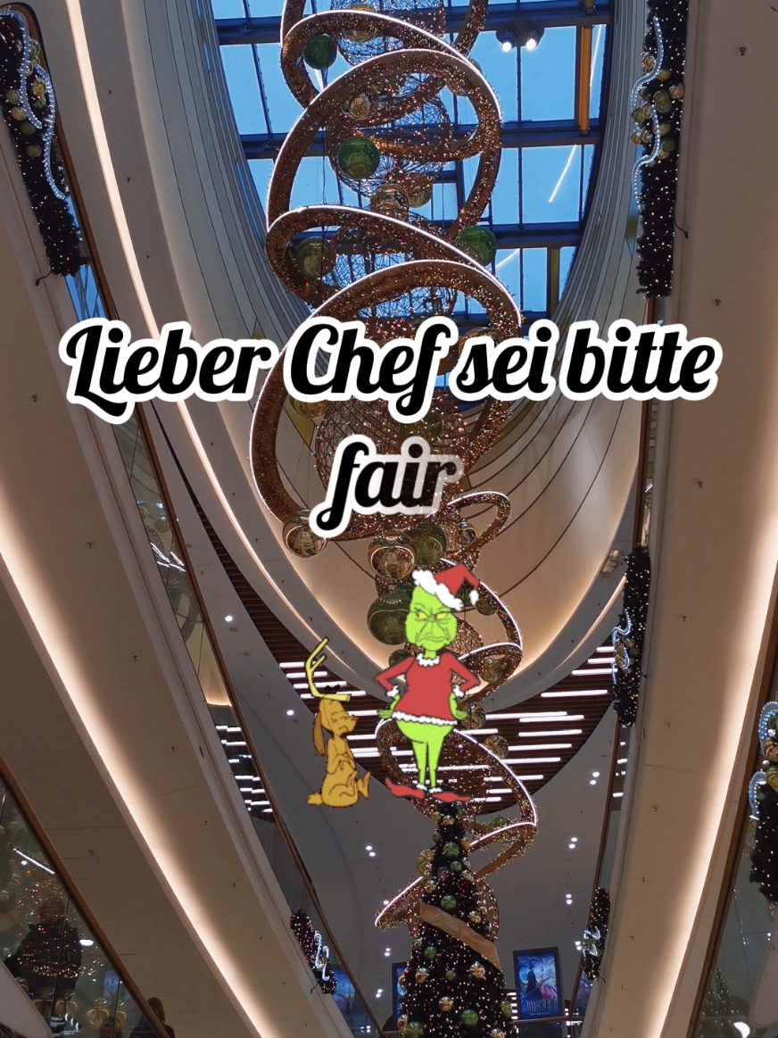 Lieber Chef sei bitte fair #explore #chef #fyp #fypdong #viraltiktokvideo #deutsch #germany 