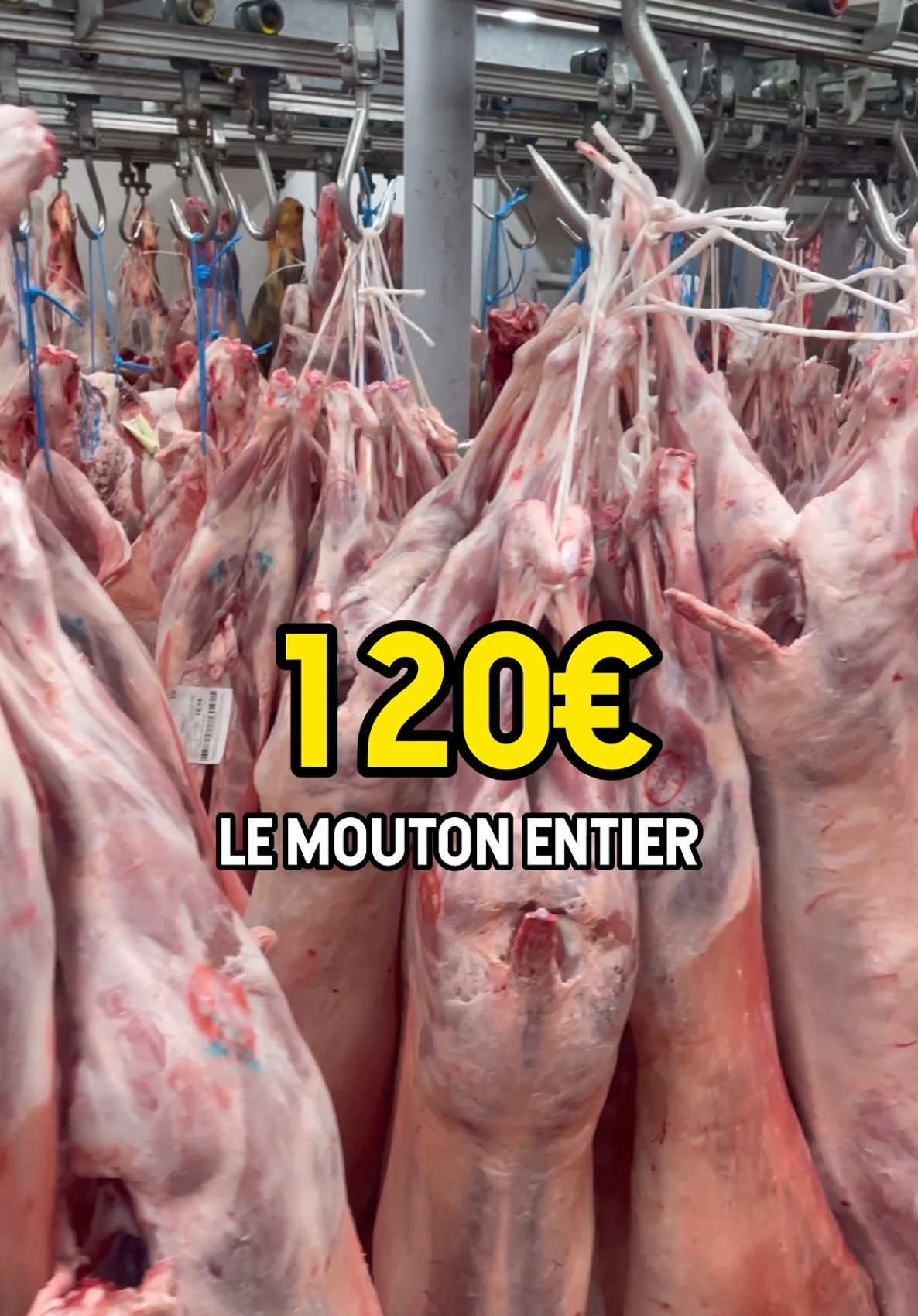 L’offre sur le monton entier cette semaine #pascherparis #bonplanparis #boucheriehalal 