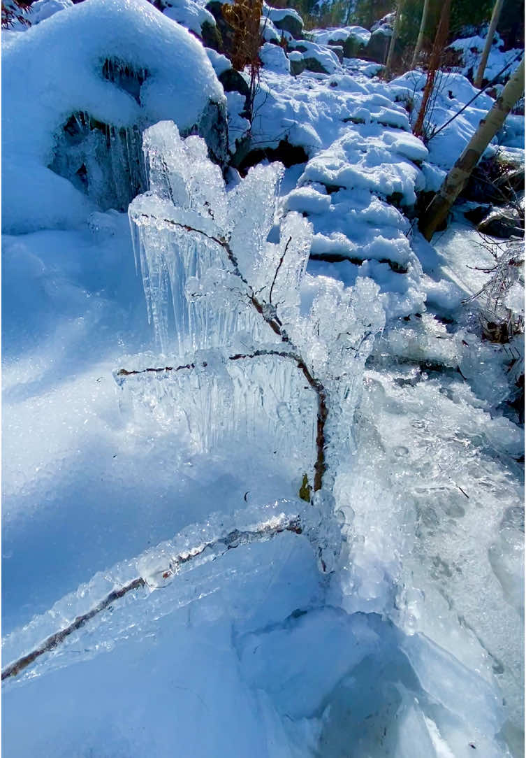 Crystal Amazing Ice In The Beauty Queen Of Pakistan Swat Kalam Valley . #trending #foryou #F #snowfall #swatvalley #pakistan #discoverswat #viralvideos @Discover Swat @LeGrand Resorts Kalam @🎀 𝒜𝓈𝒽𝓇𝒶𝒻 𝓀𝒽𝒶𝓃 🎀 @✨ 𝐒𝐭𝐮𝐧𝐧𝐢𝐧𝐠 𝐒𝐰𝐚𝐭 ꧂ 