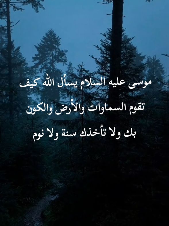 موسى عليه السلام يسأل الله كيف تقوم السماوات والأرض والكون بك ولا تأخذك سنة ولا نوم #قصص_دينيه #قصص_الأنبياء #قصة_حقيقية #قصص_واقعية #راحة_نفسية #موسى_عليه_السلام #صلوا_على_رسول_الله #fyp 