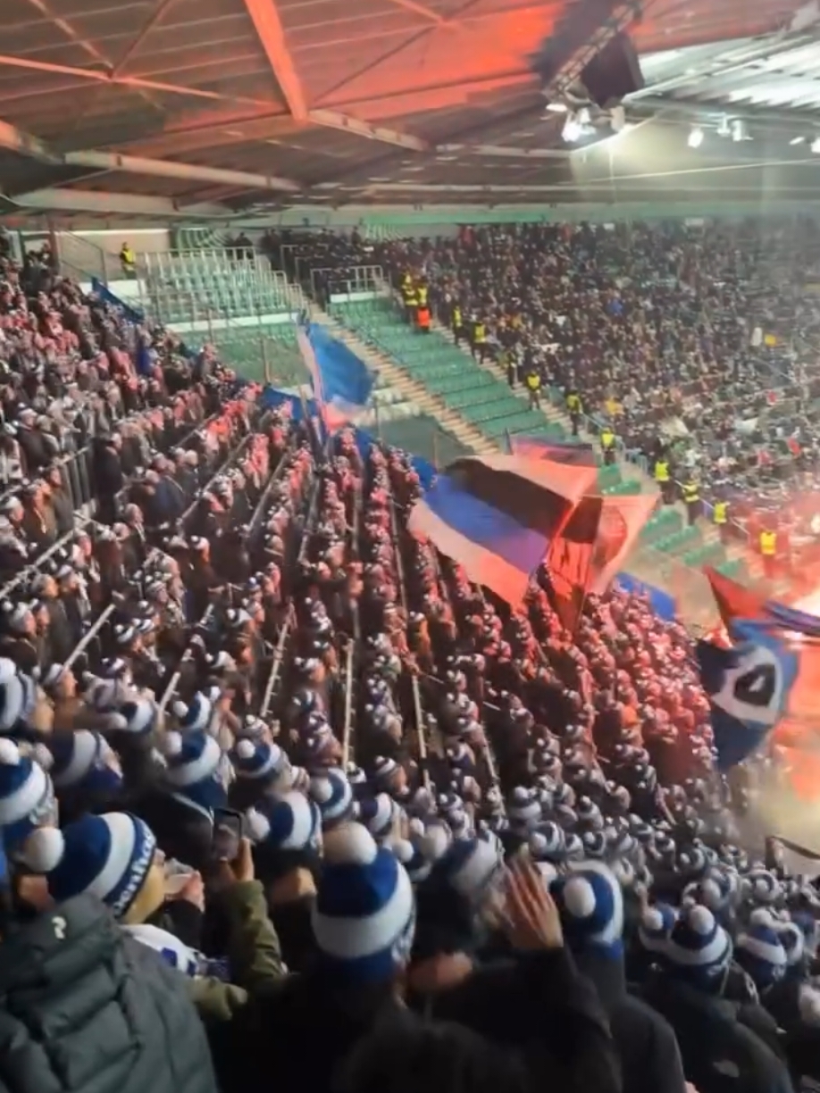 Amazing atmosphere from FC Kobenhavn away in the match against Rapid Wien 🔥🇩🇰 19.12.2024 European Conference League🏆 #kobenhavn #kobenhavn🇩🇰 #københavn #fckøbenhavn #Denmark #denmark🇩🇰 #ultras #ultrasworld #fans #againstmodernfootball #footballfans #tifosi #amazing 